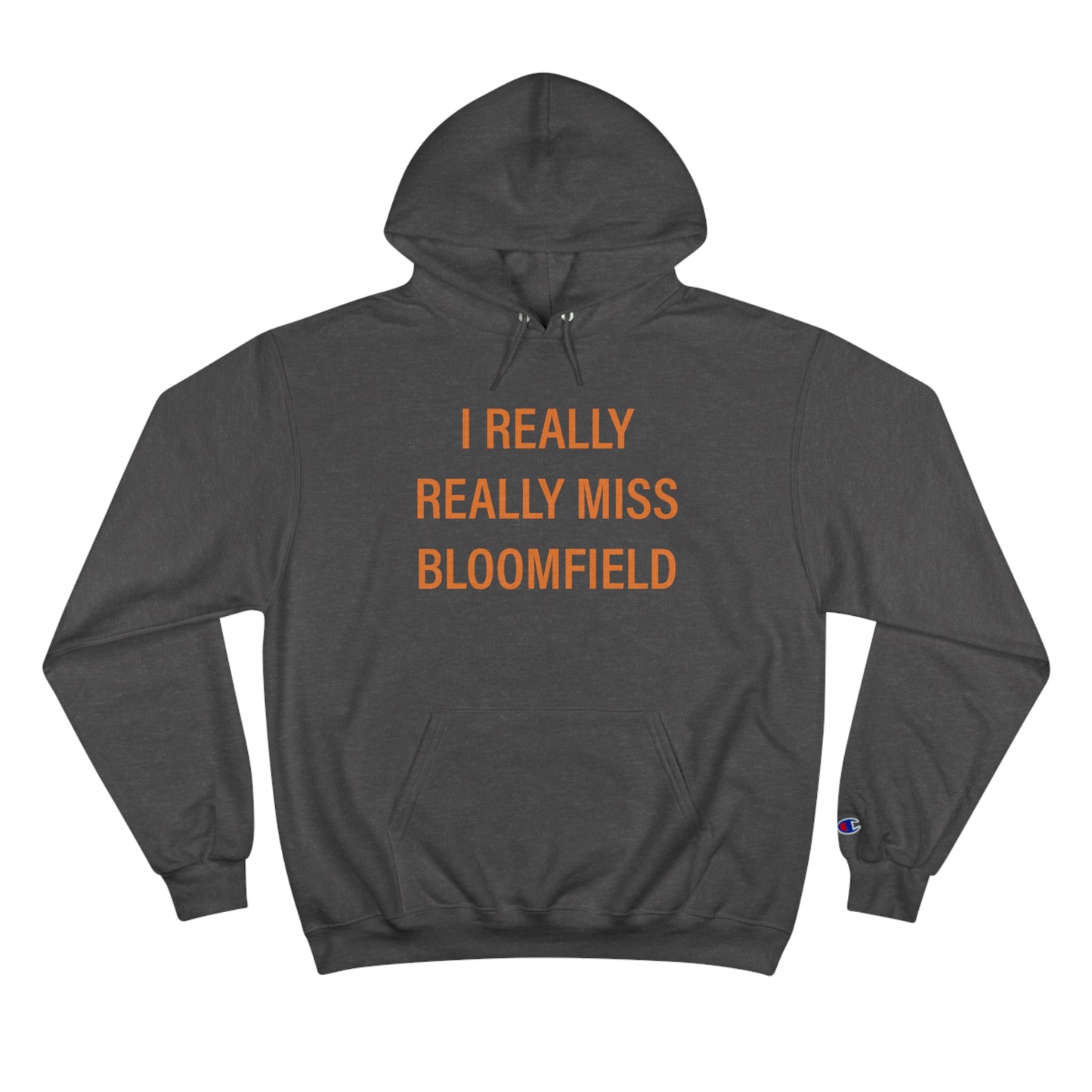 I really really miss bloomfield // bloomfield connecticut unisex champion hoodie sweatshirt   // finding connecticut 