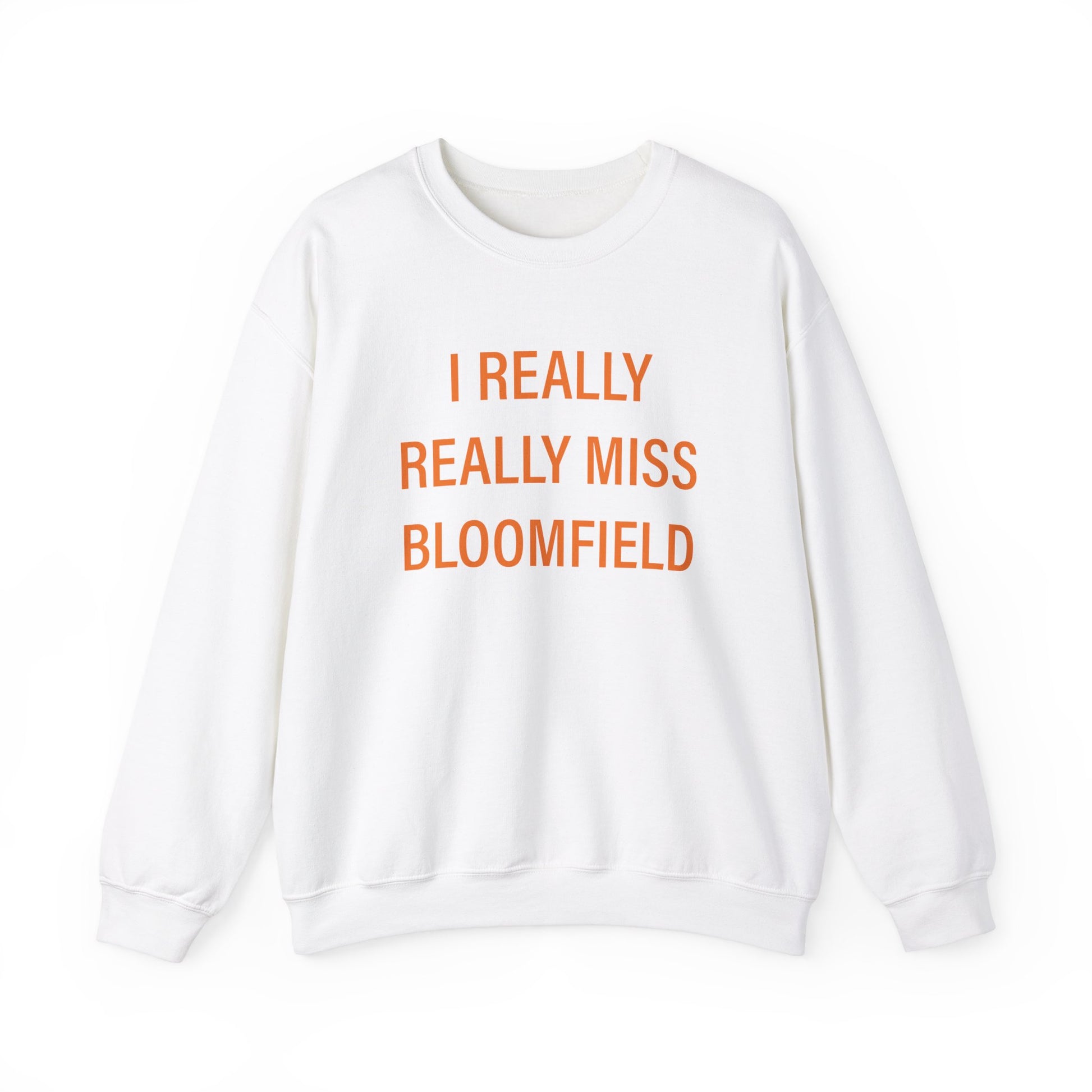 I really really miss bloomfield // bloomfield connecticut unisex sweatshirt   // finding connecticut 