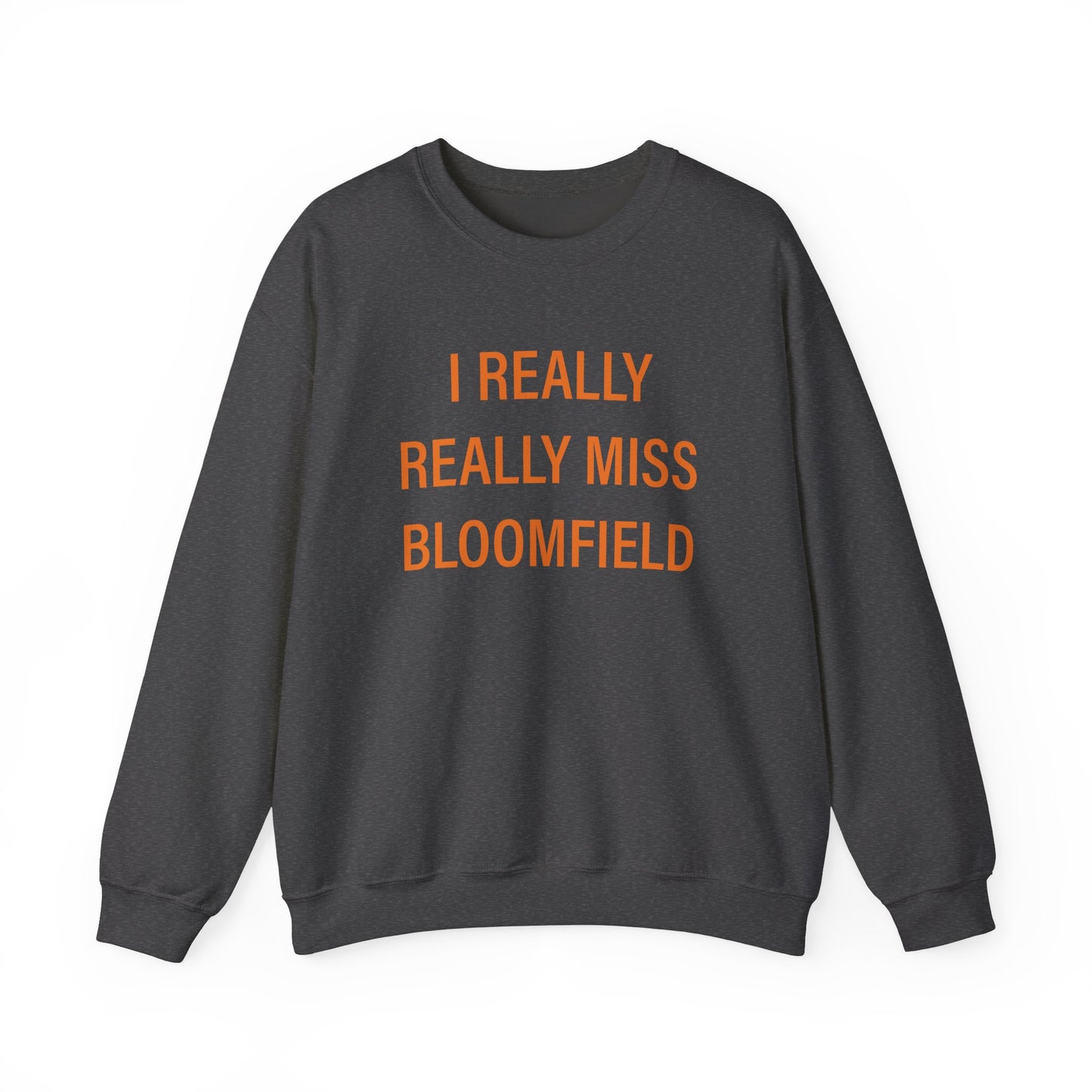 I really really miss bloomfield // bloomfield connecticut unisex sweatshirt   // finding connecticut 