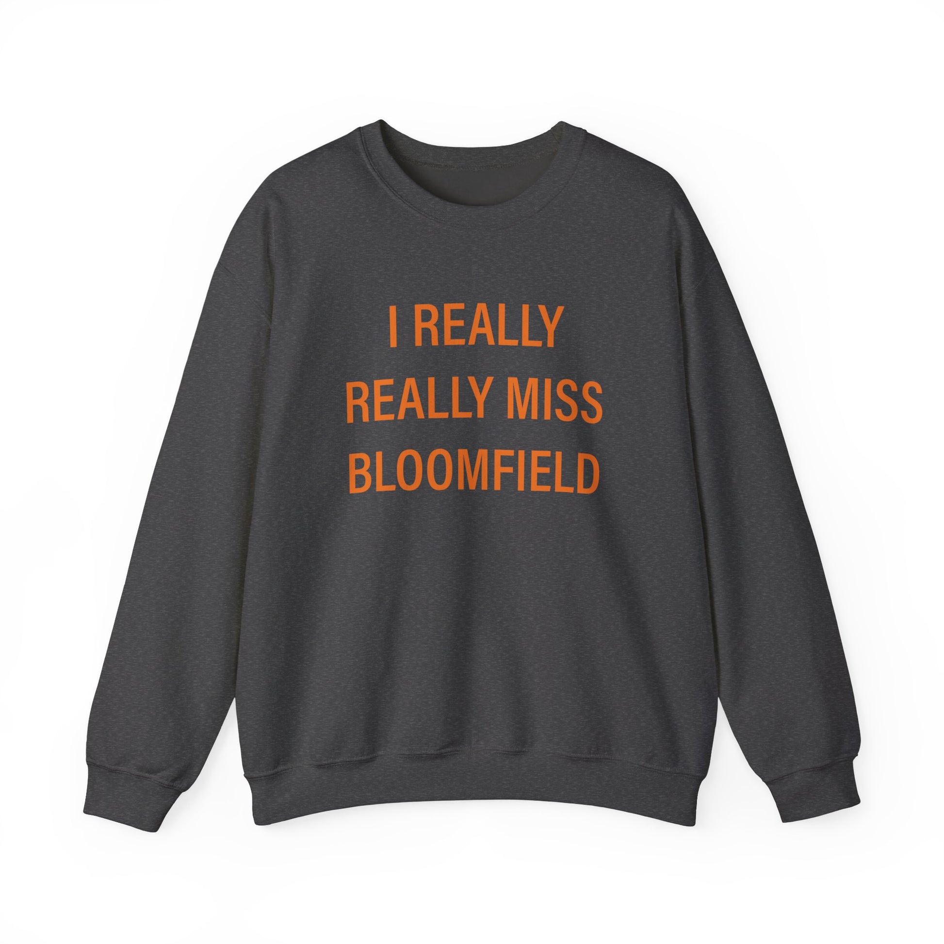 I really really miss bloomfield // bloomfield connecticut unisex sweatshirt   // finding connecticut 