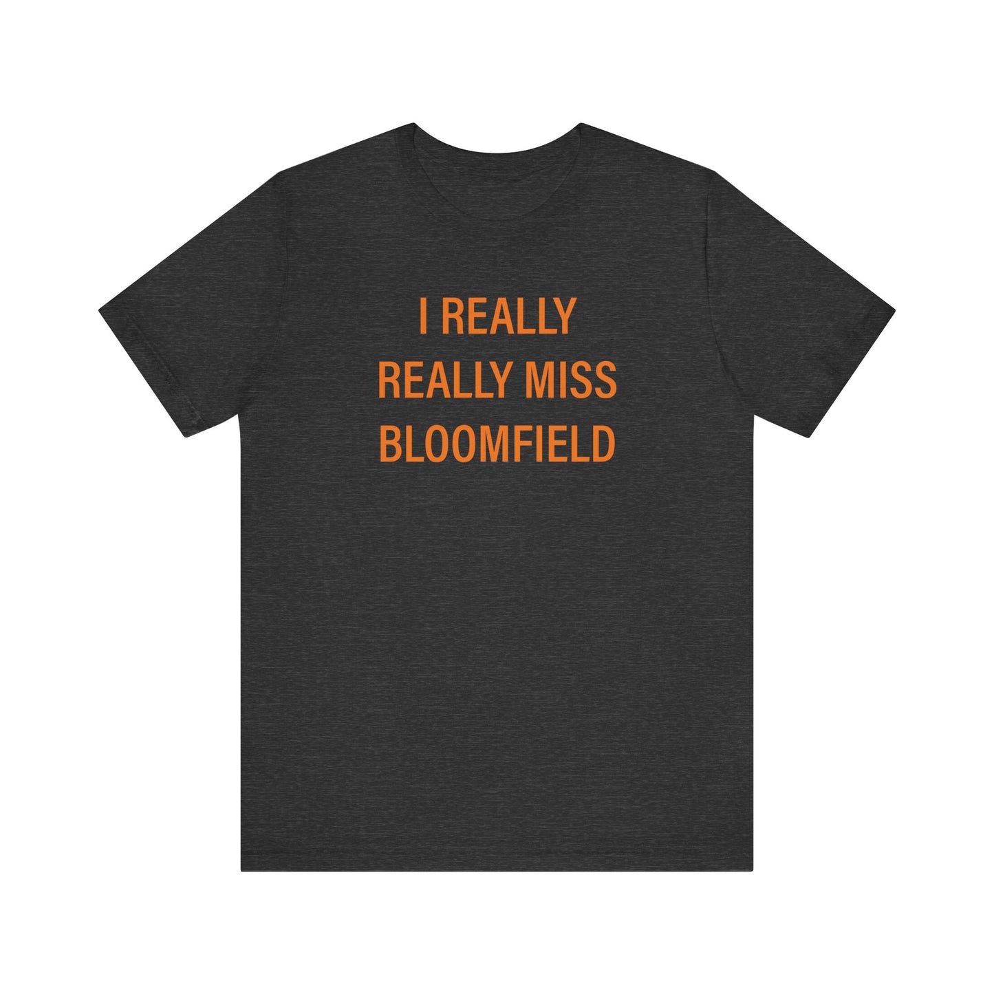 I really really miss bloomfield // bloomfield connecticut unisex t shirts    // finding connecticut 