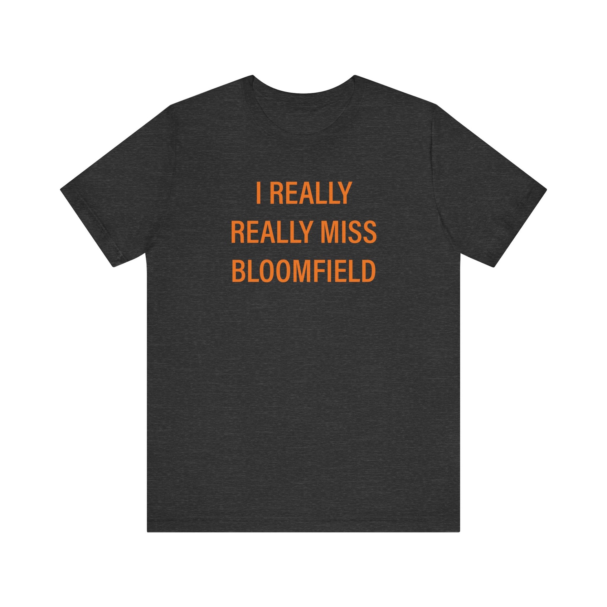 I really really miss bloomfield // bloomfield connecticut unisex t shirts    // finding connecticut 