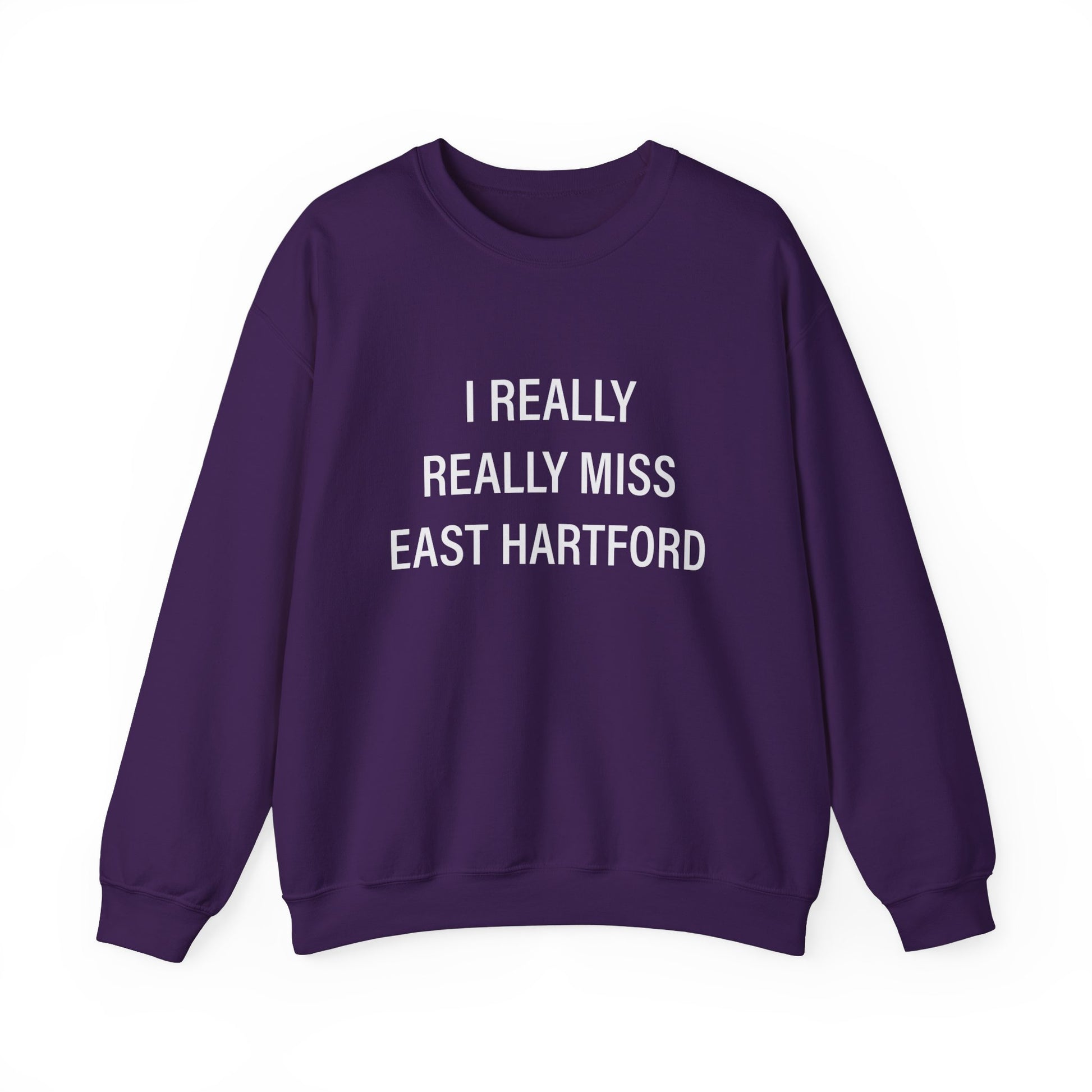   I really really miss east hartford // east hartord CT unisex sweatshirt // finding connecticut