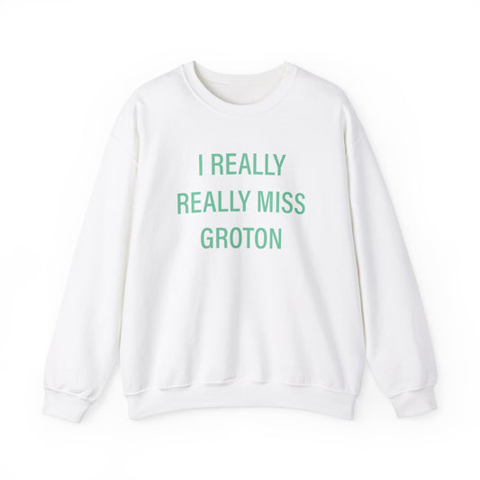 I really really miss groton // groton connecticut unisex sweatshirt // finding connecticut