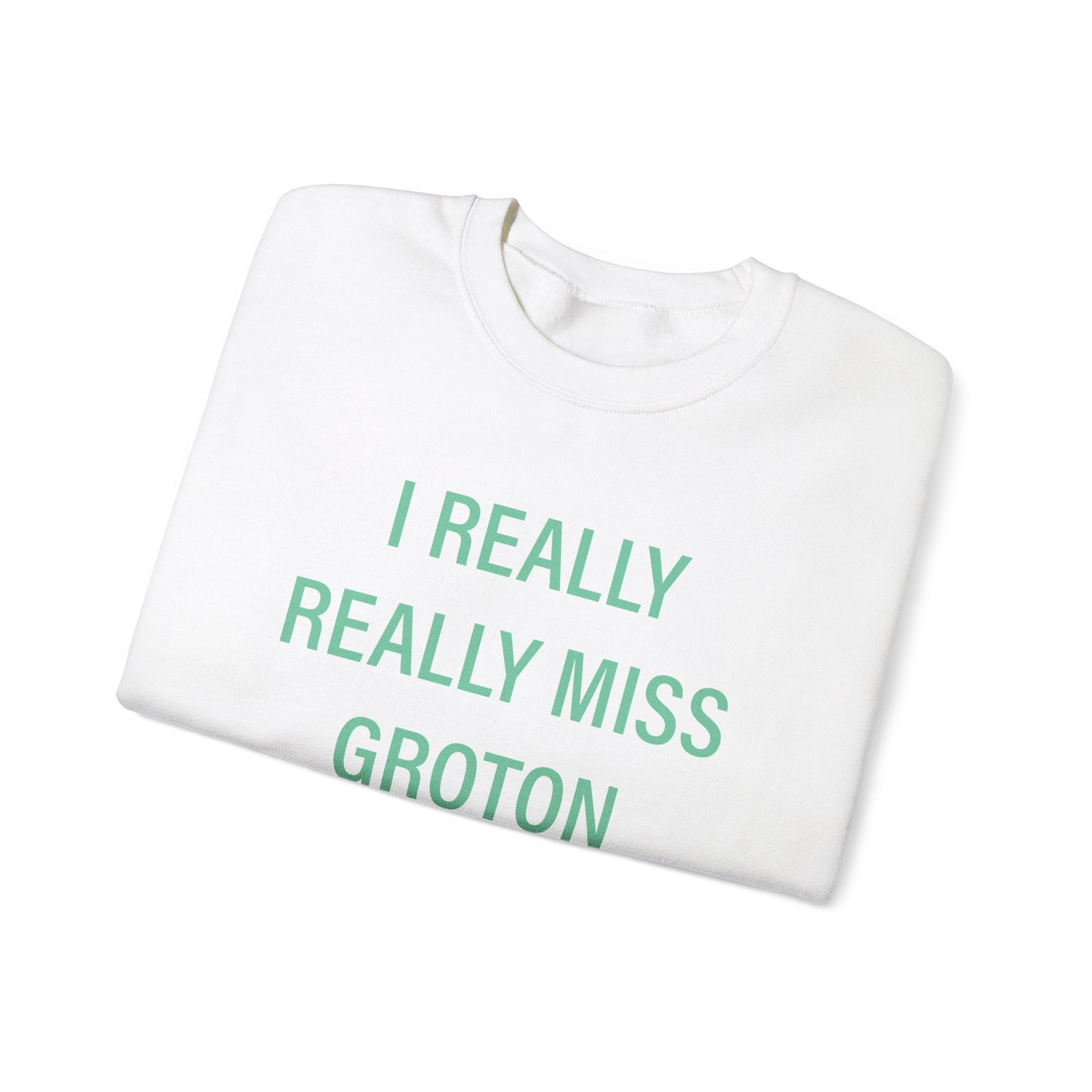 I really really miss groton // groton connecticut unisex sweatshirt // finding connecticut