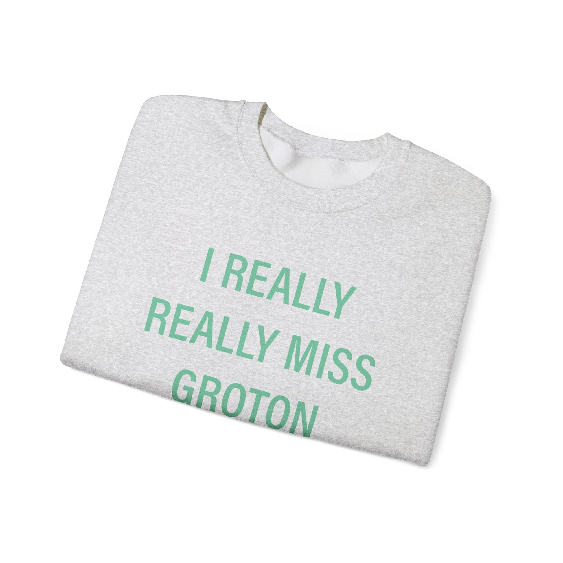 I really really miss groton // groton connecticut unisex sweatshirt // finding connecticut