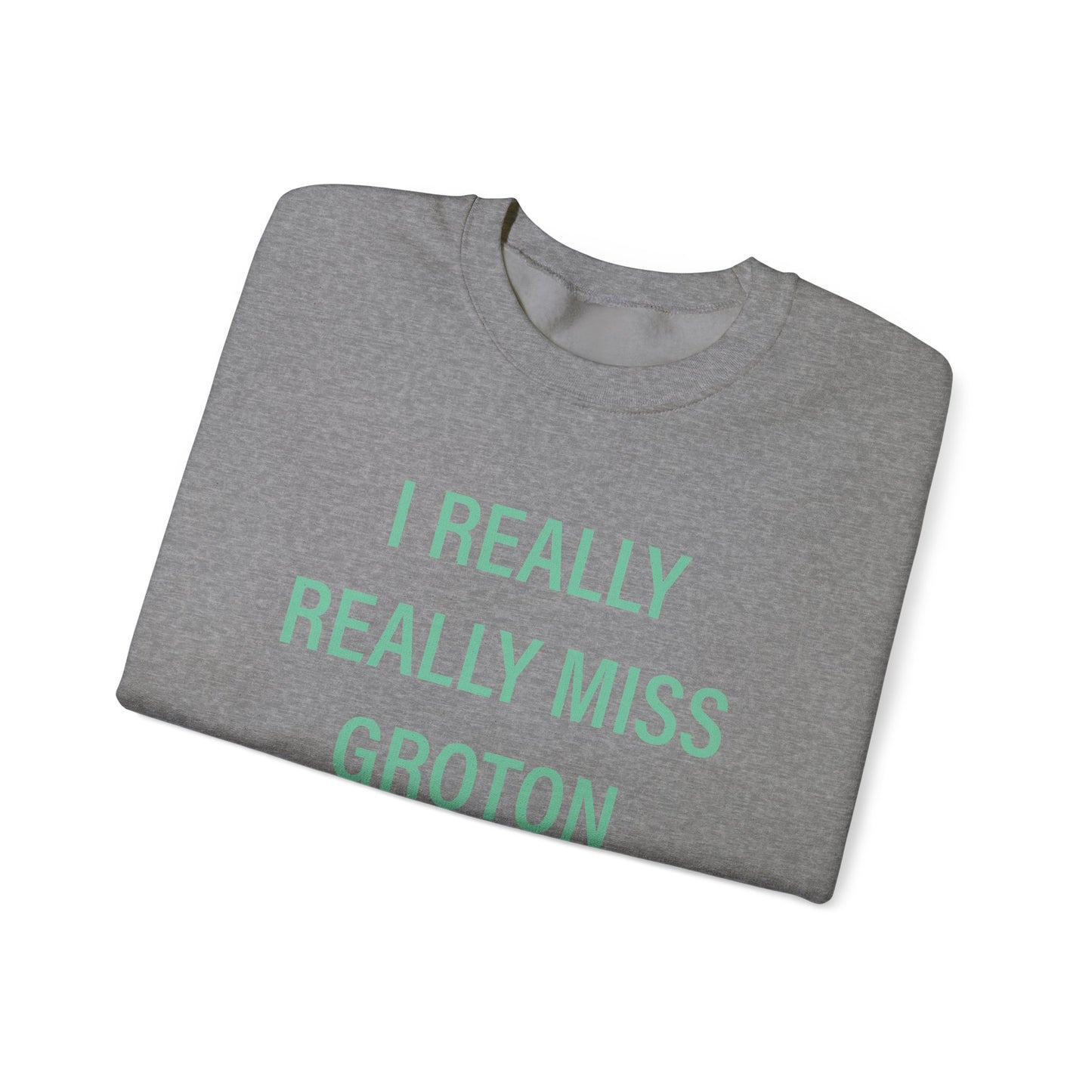 I really really miss groton // groton connecticut unisex sweatshirt // finding connecticut