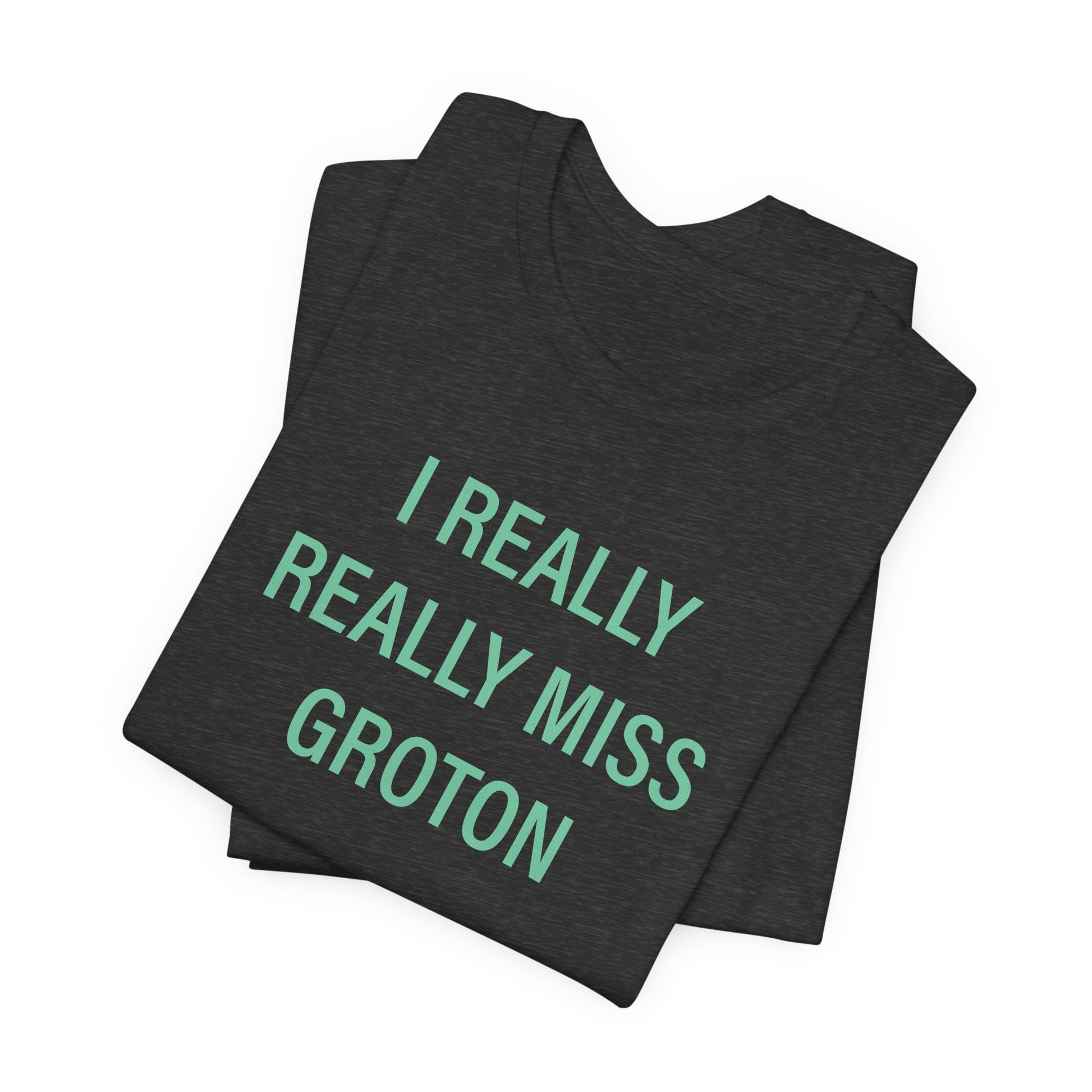 I really really miss groton // groton connecticut unisex t shirt // finding connecticut 