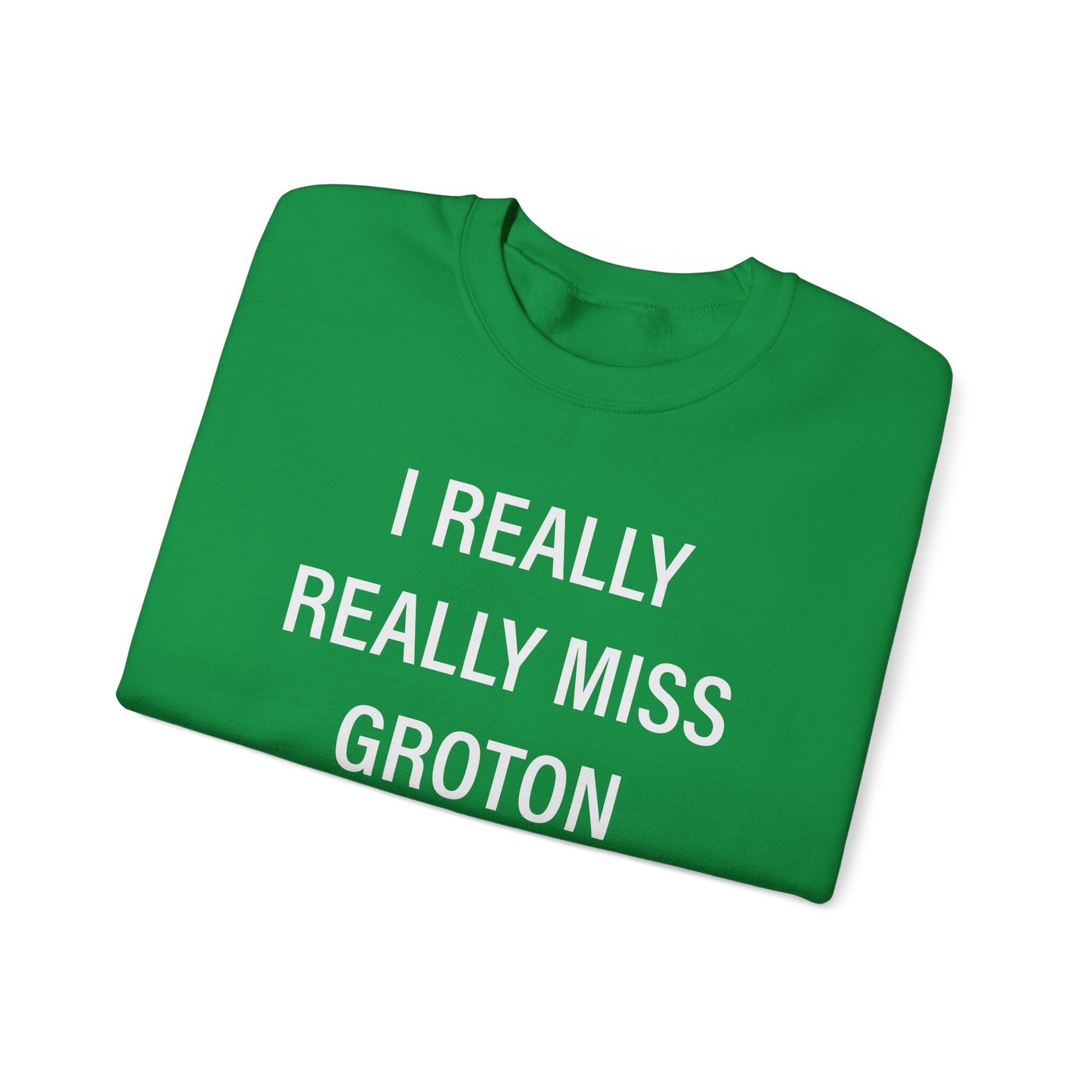 I really really miss groton // groton ct unisex sweatshirt  // finding connecticut 