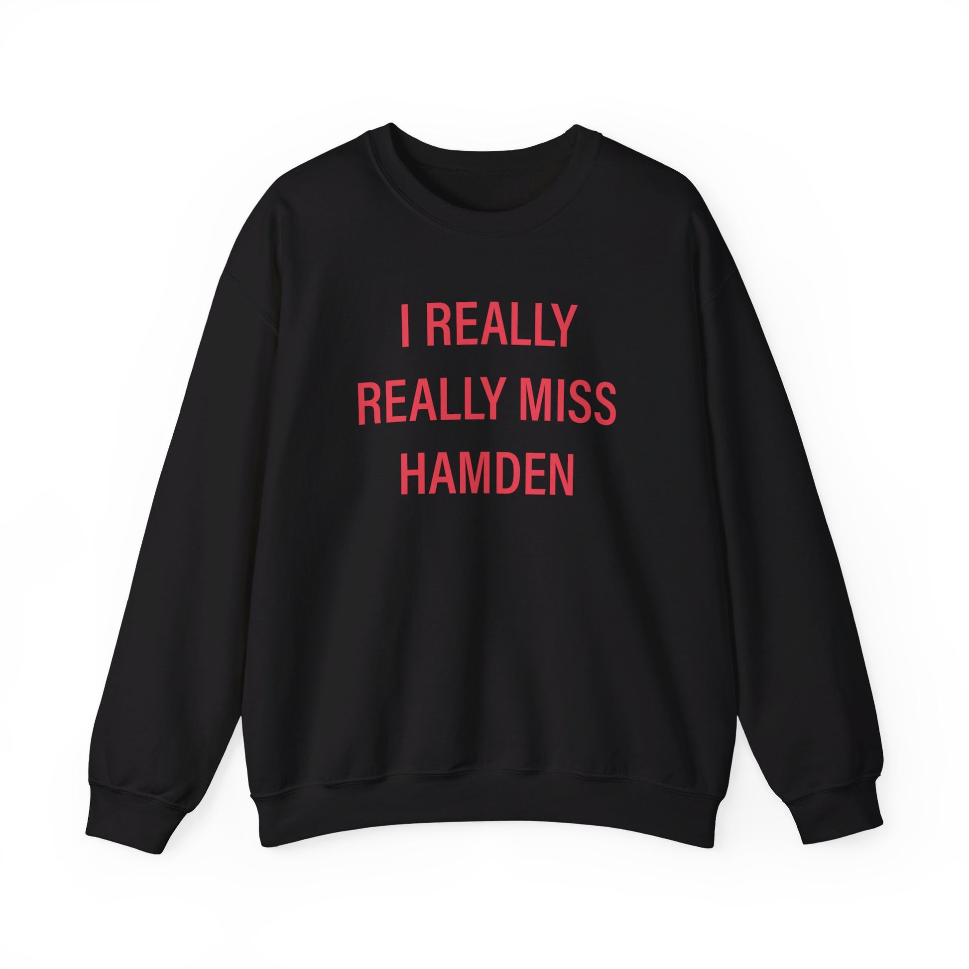 I really really miss hamden // hamden connecticut  sweatshirt   // finding connecticut  