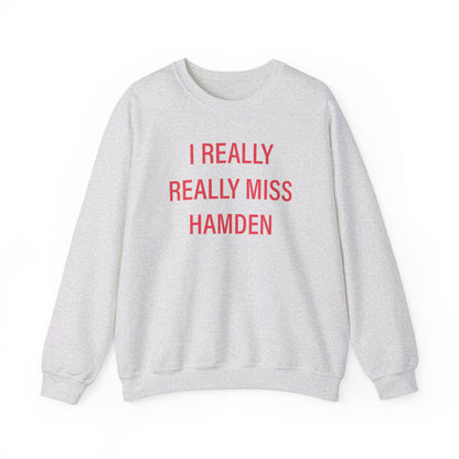 I really really miss hamden // hamden connecticut  sweatshirt   // finding connecticut  