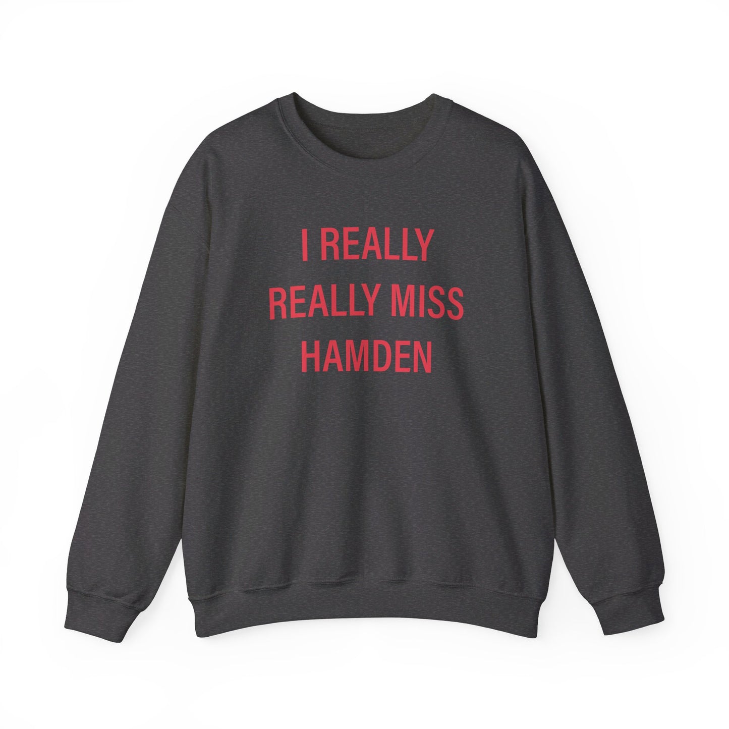 I really really miss hamden // hamden connecticut  sweatshirt   // finding connecticut  