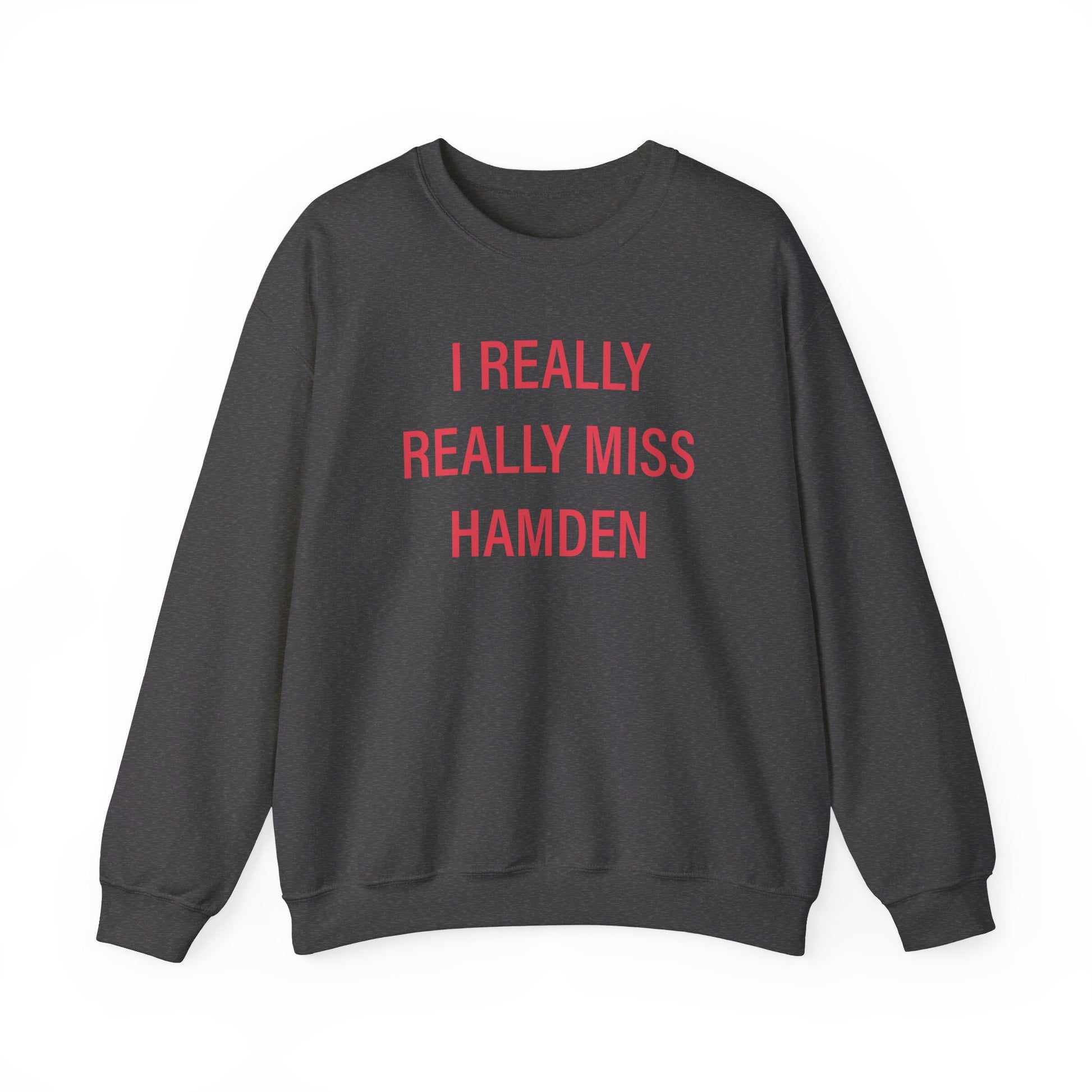 I really really miss hamden // hamden connecticut  sweatshirt   // finding connecticut  