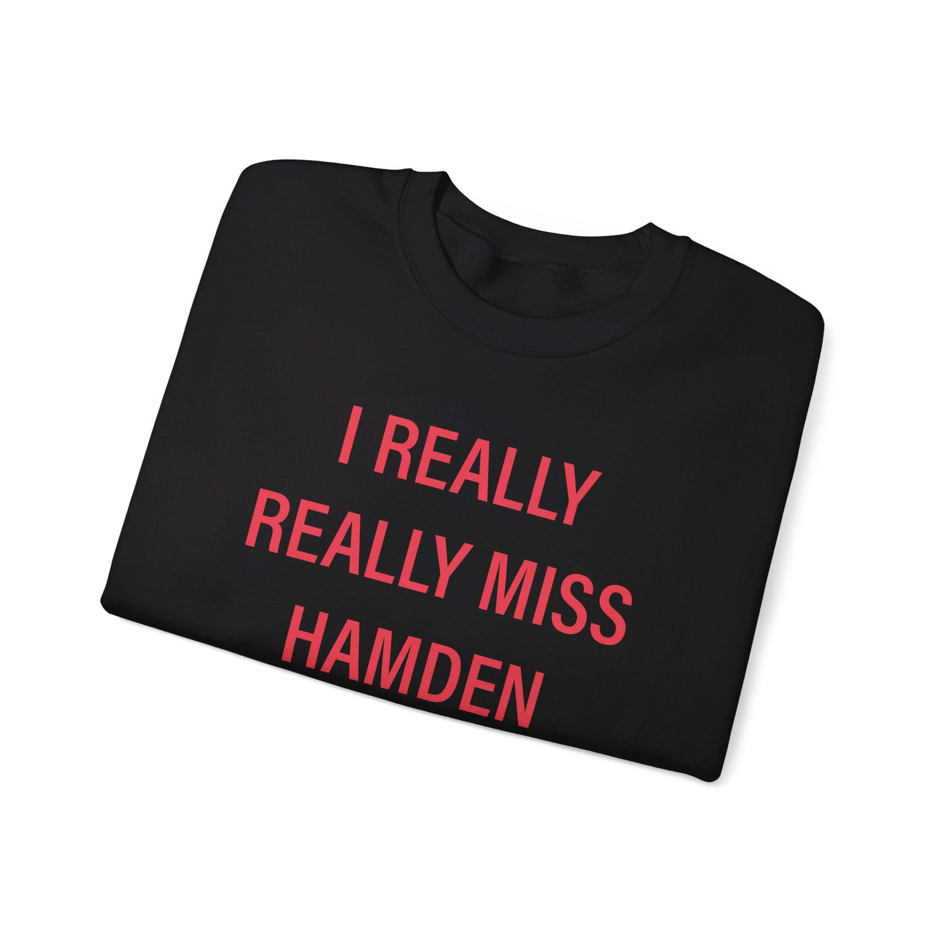 I really really miss hamden // hamden connecticut  sweatshirt   // finding connecticut  
