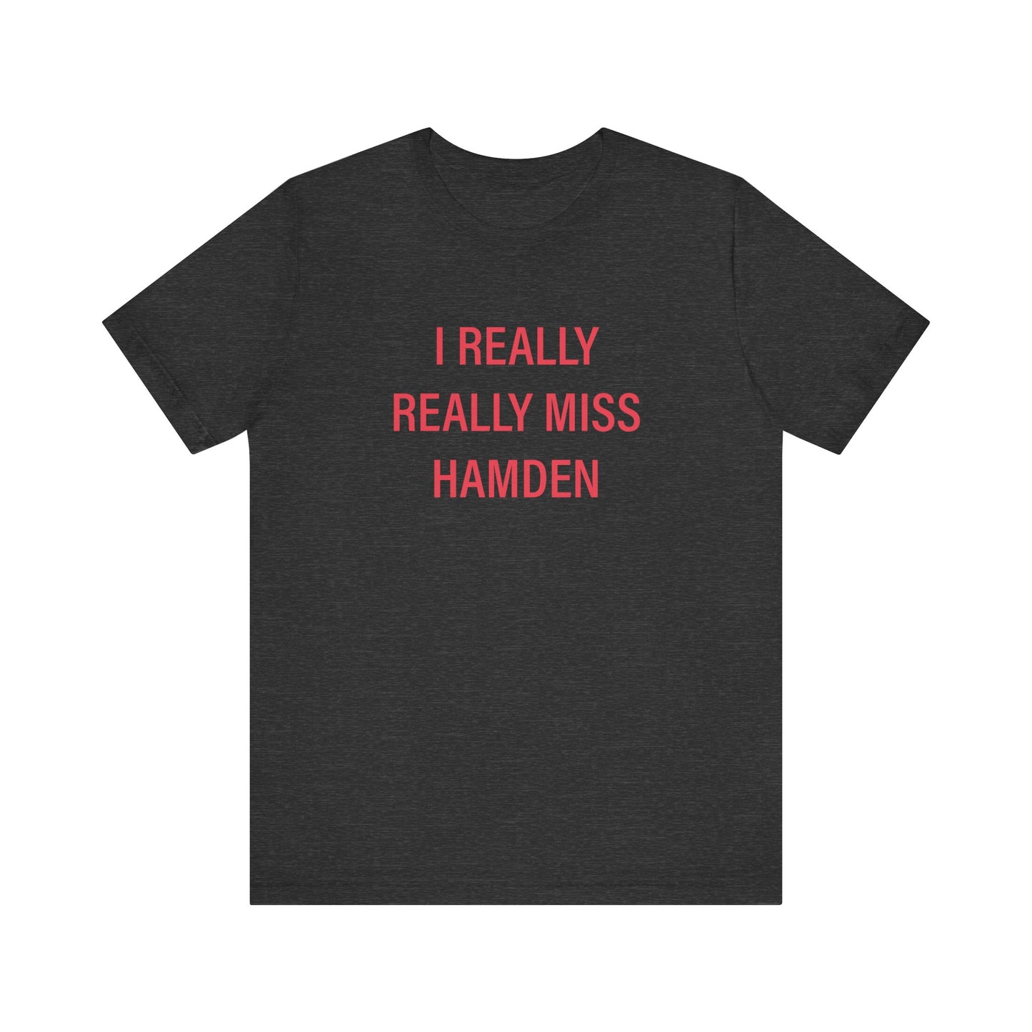 I really really miss hamden // hamden connecticut  t shirts  // finding connecticut   