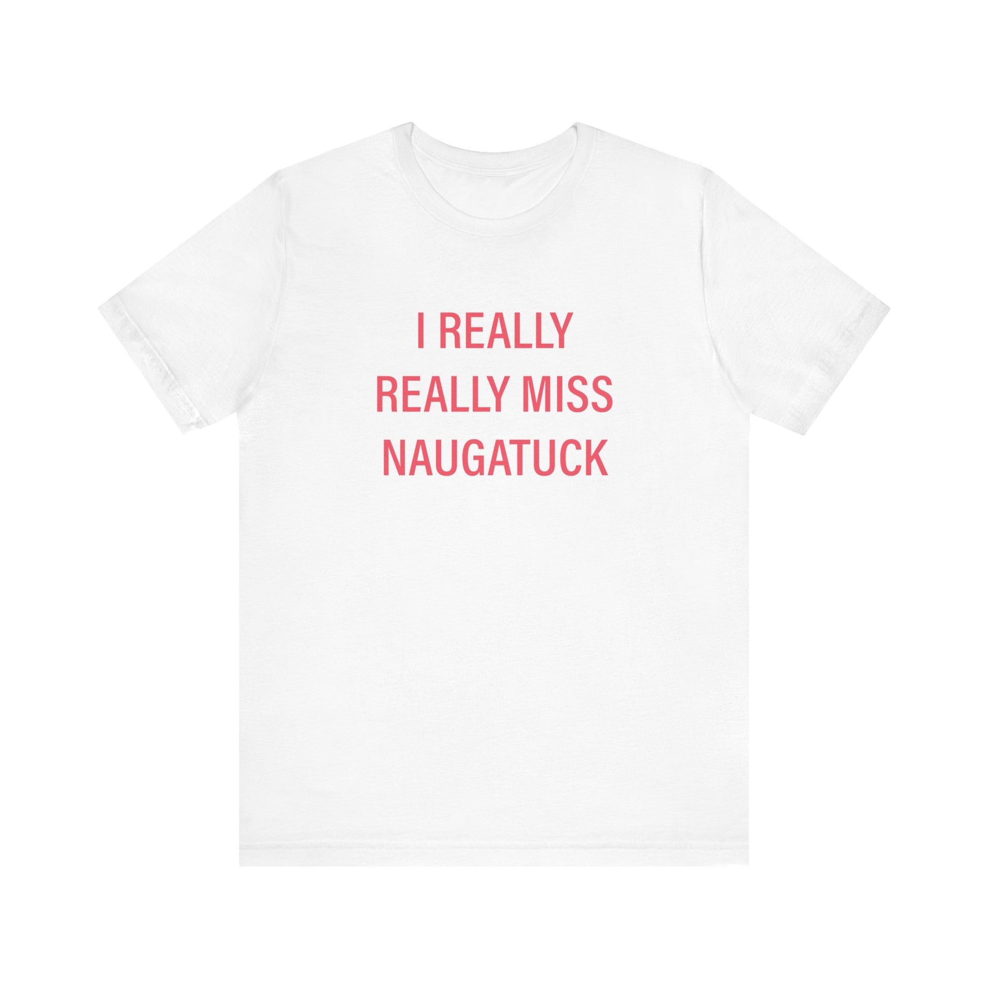 I really really miss naugatuck // naugatuck connecticut unisex t shirts  // finding connecticut 