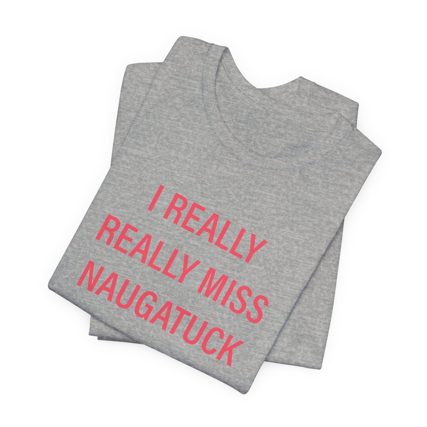 I really really miss naugatuck // naugatuck connecticut unisex t shirts  // finding connecticut 