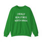 I really really miss north haven // north haven ct unisex sweatshirts // finding connecticut 