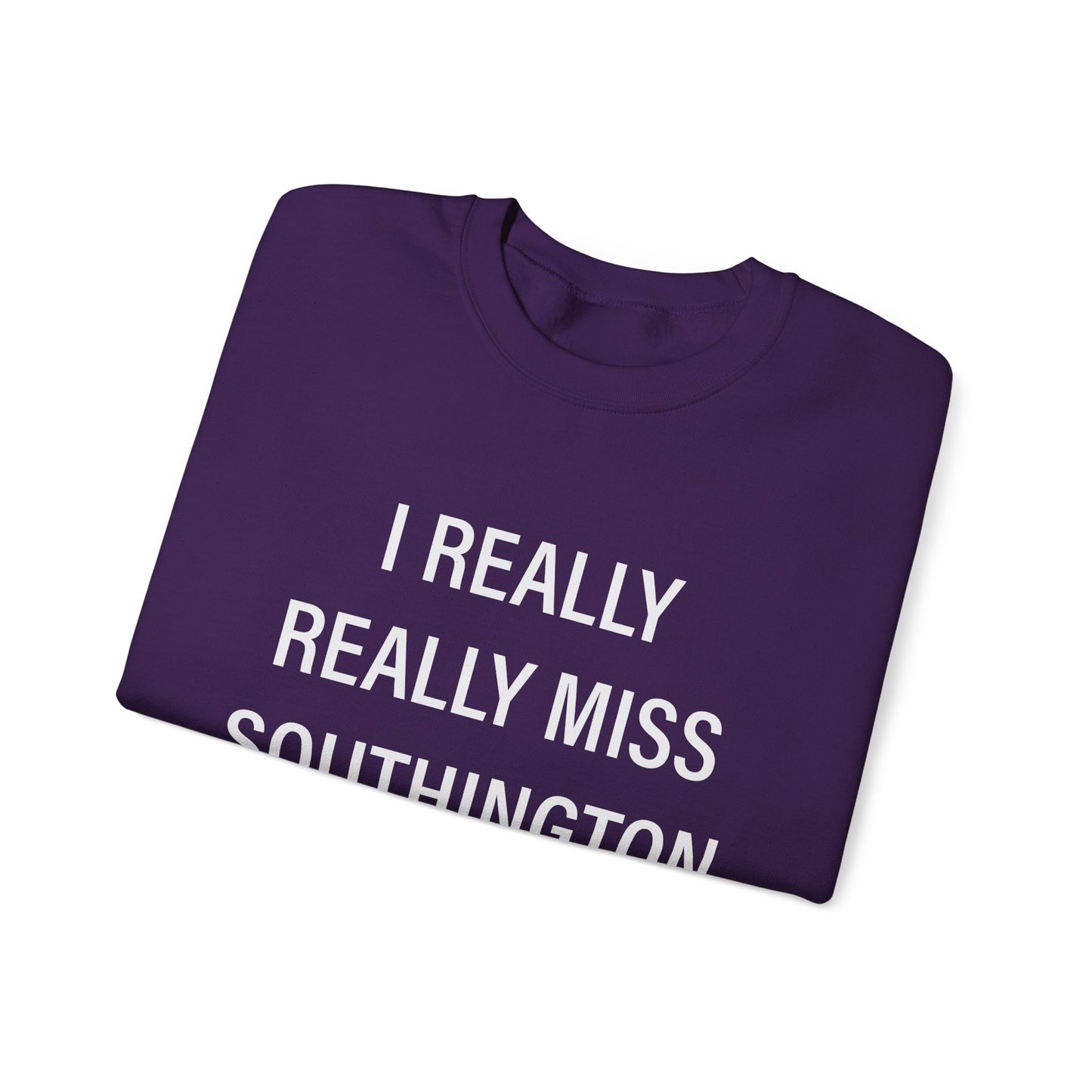 I really really miss southington // southington ct unisex sweatshirt // finding connecticut