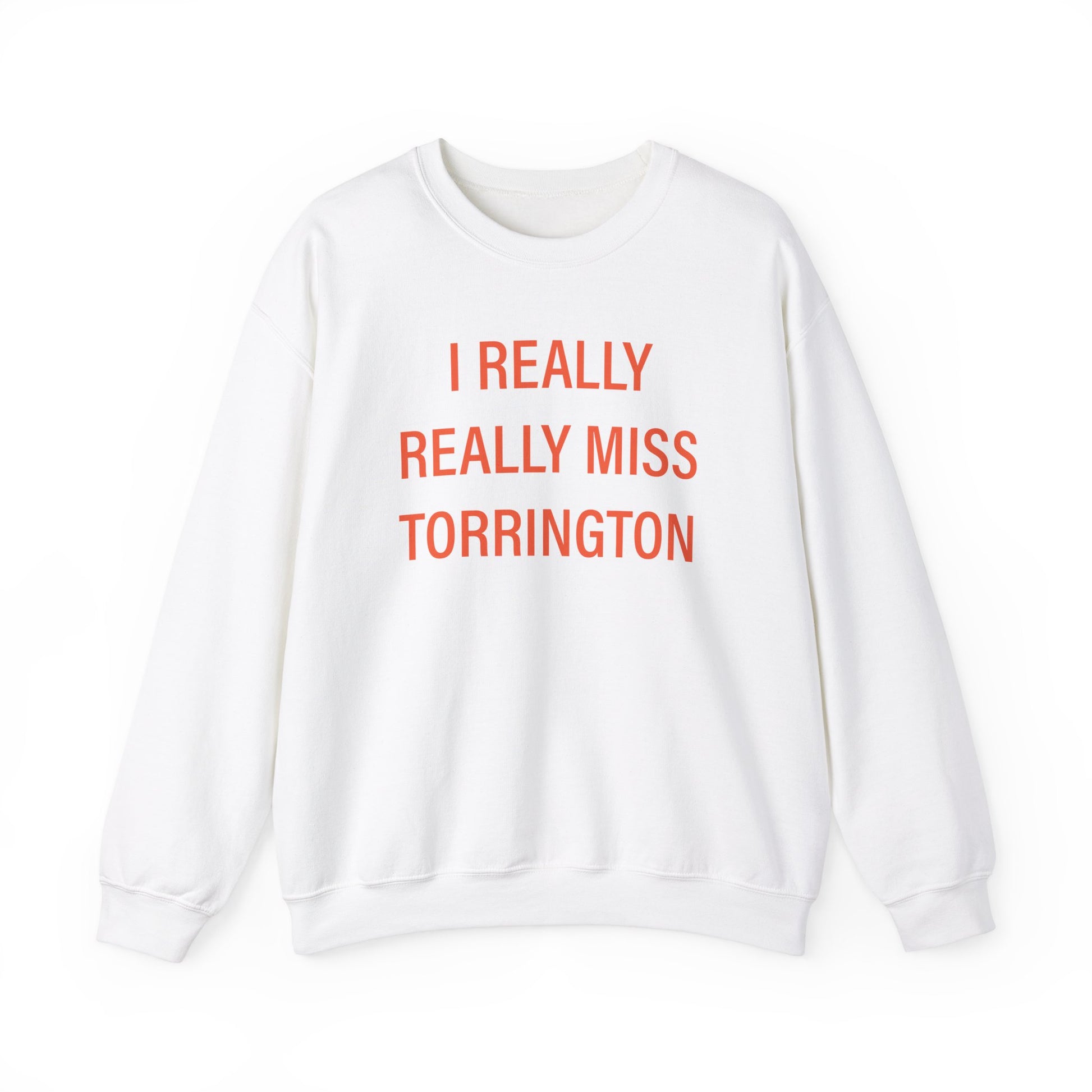 I really really miss torrington // torrington connecticut unisex sweatshirt // finding connecticut 
