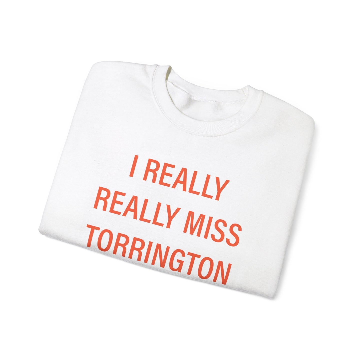 I really really miss torrington // torrington connecticut unisex sweatshirt // finding connecticut 
