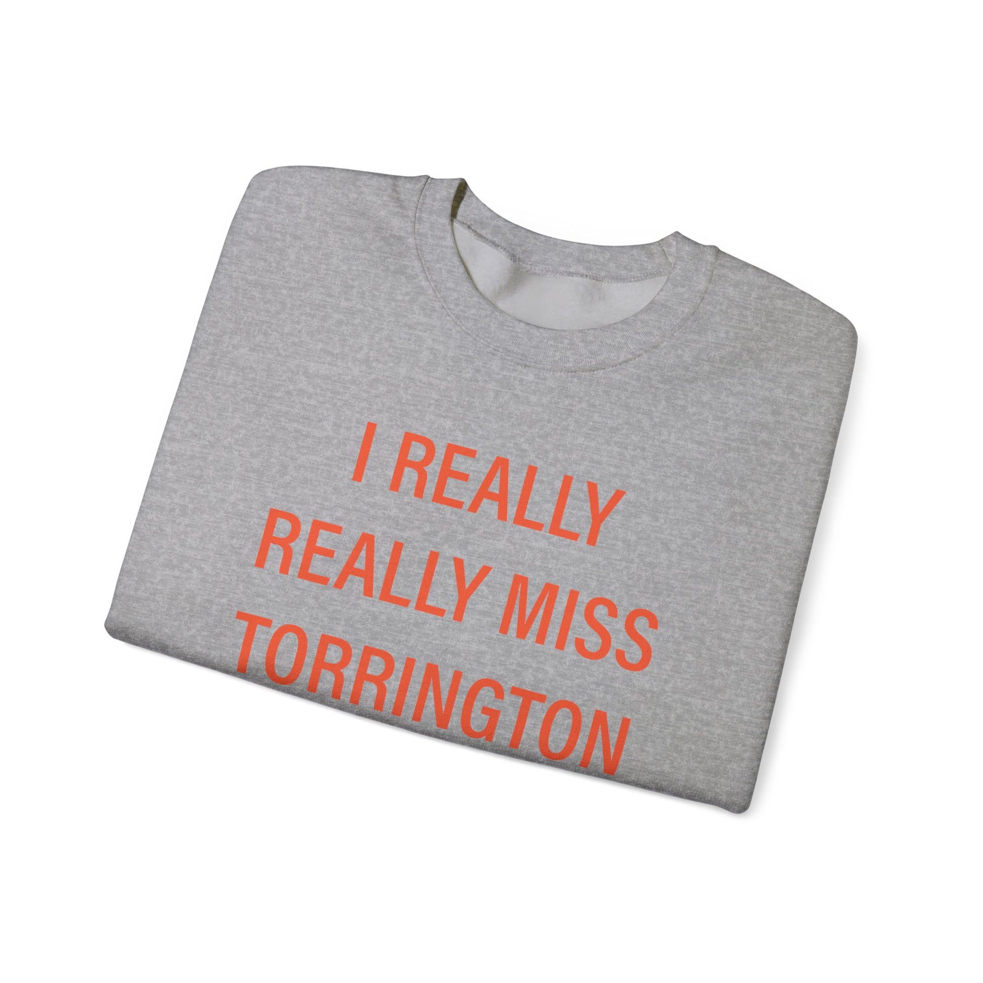 I really really miss torrington // torrington connecticut unisex sweatshirt // finding connecticut 
