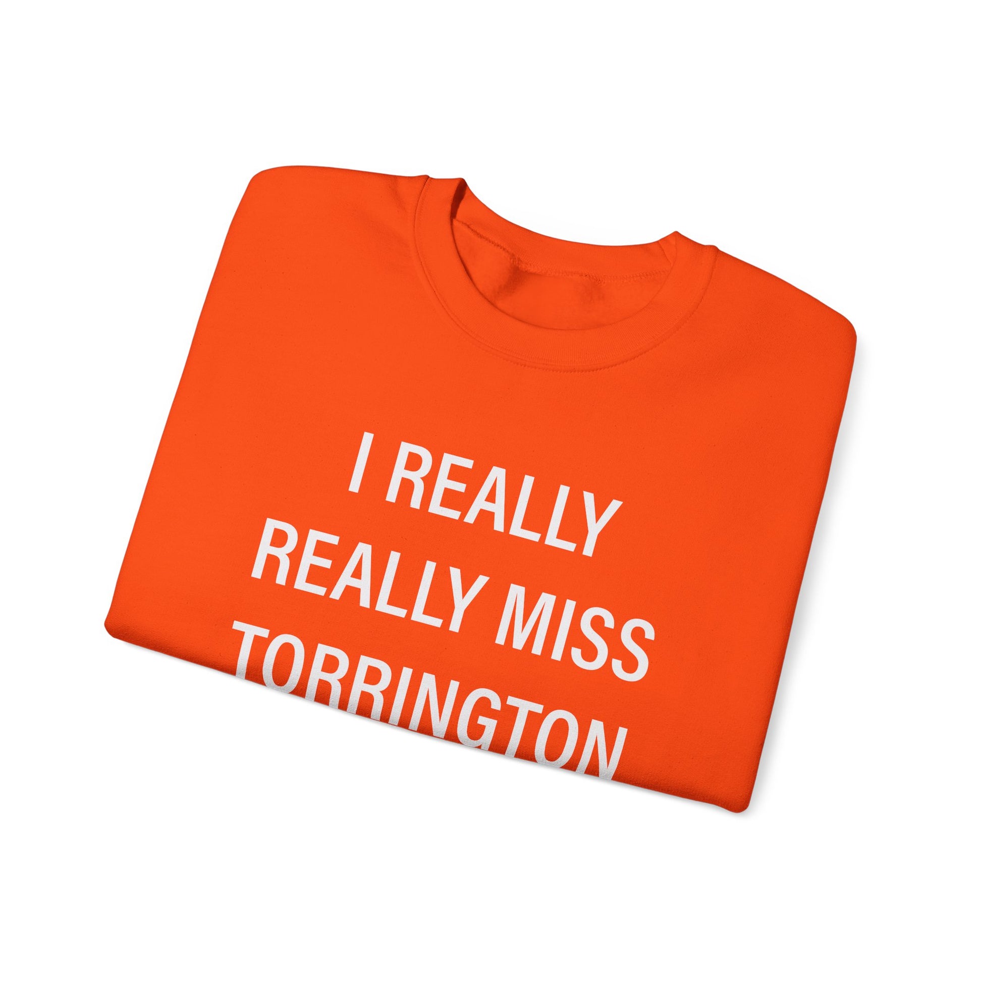 I really really miss torrington // torrington ct unisex  sweatshirt  // finding connecticut  