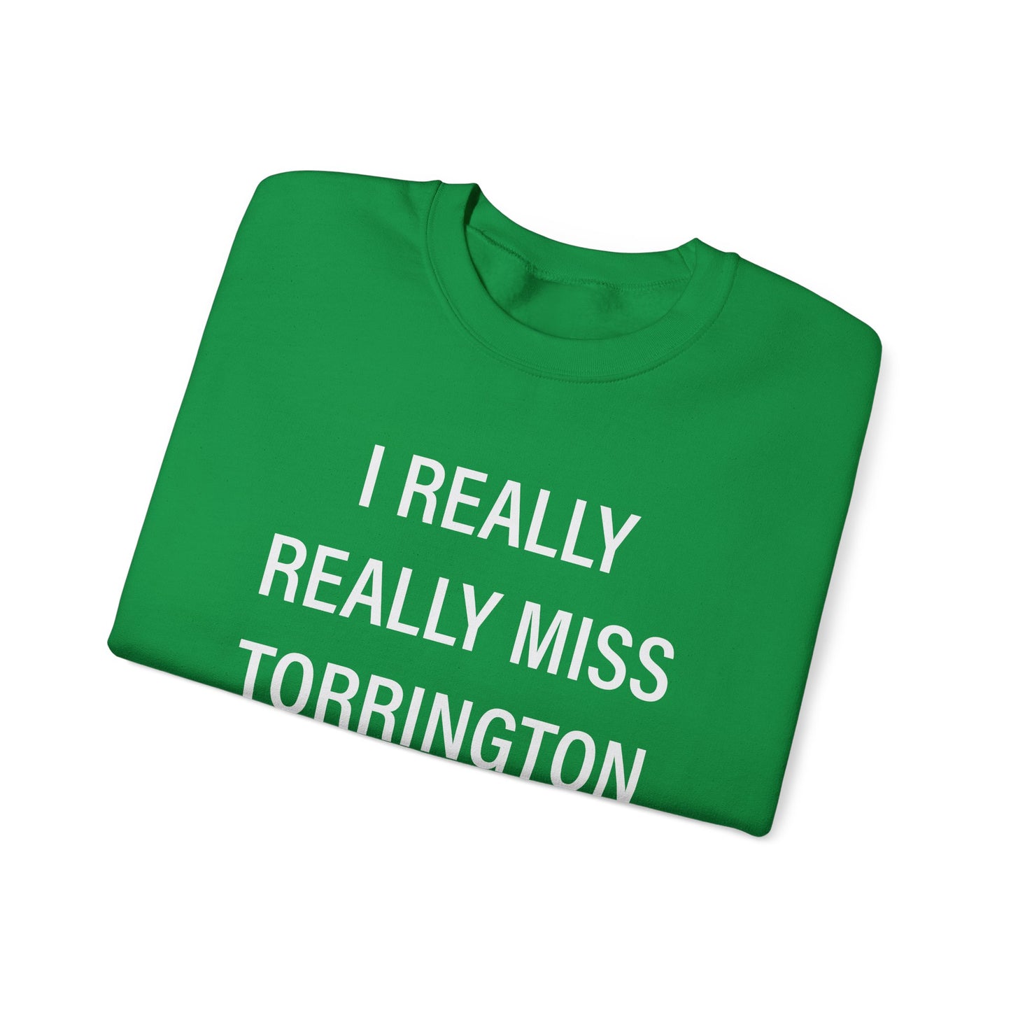 I really really miss torrington // torrington ct unisex  sweatshirt  // finding connecticut  