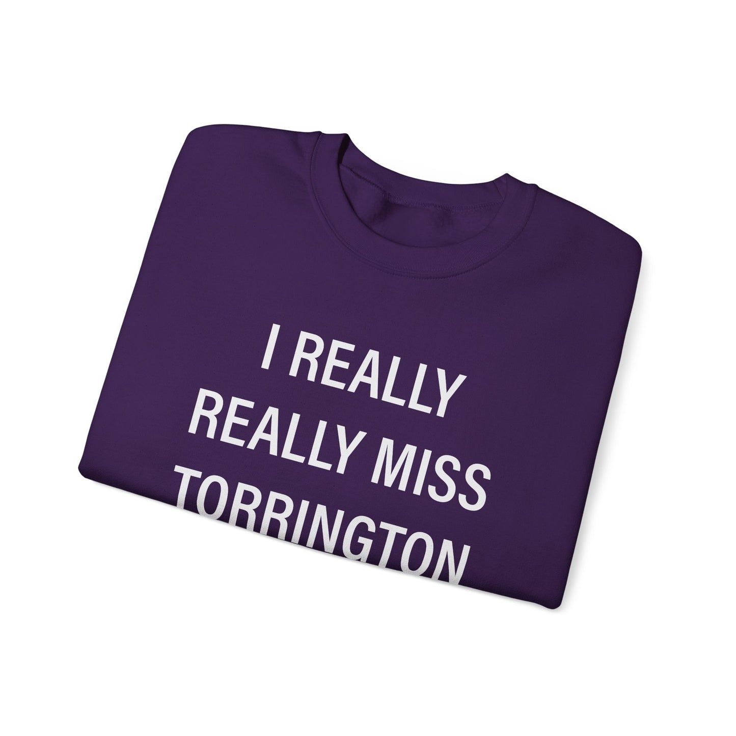 I really really miss torrington // torrington ct unisex  sweatshirt  // finding connecticut  