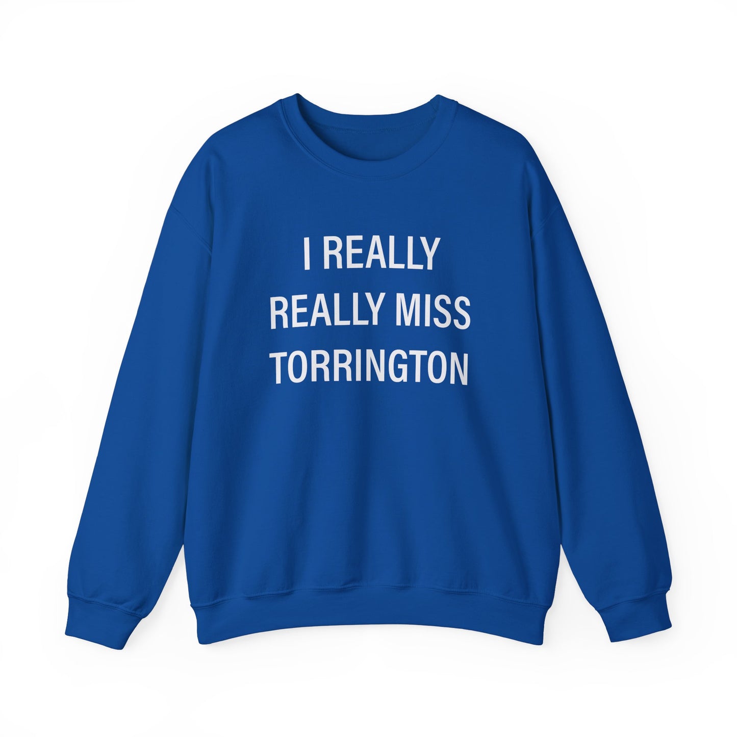 I really really miss torrington // torrington ct unisex  sweatshirt  // finding connecticut  