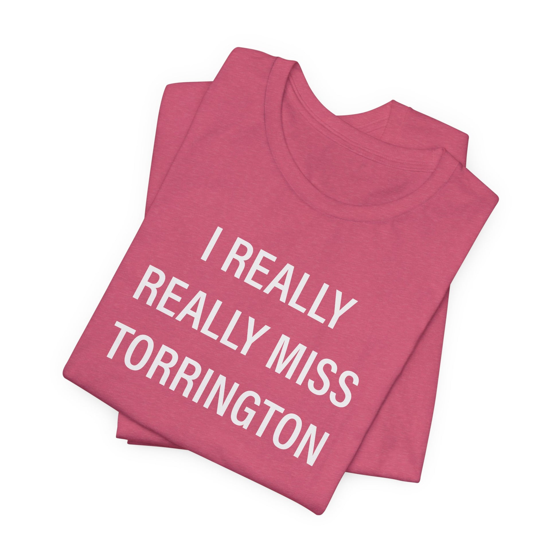 I really really miss torrington // torrington ct unisex  t shirt   // finding connecticut  