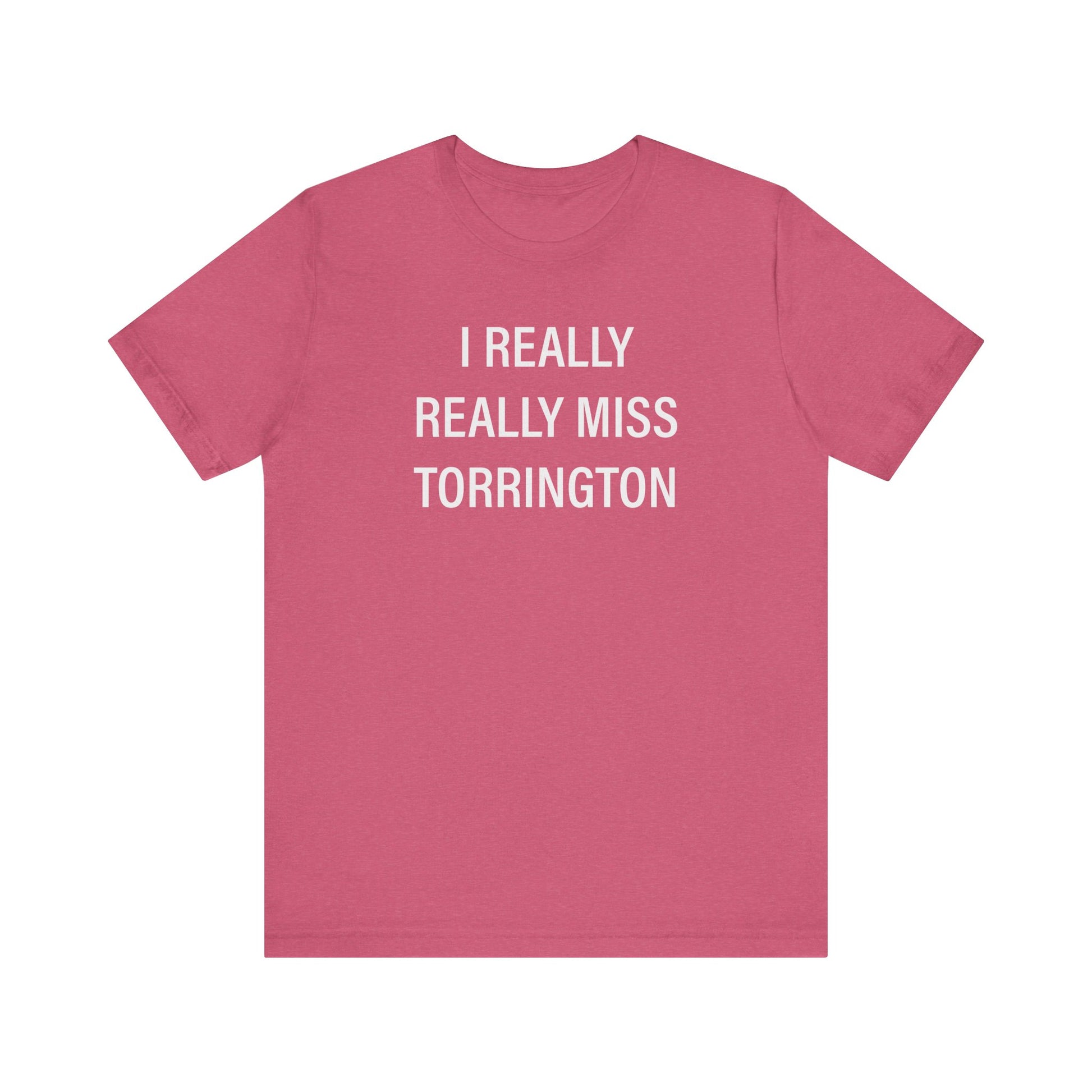 I really really miss torrington // torrington ct unisex  t shirt   // finding connecticut  