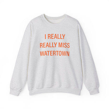 I really really miss watertown // watertown connecticut sweatshirt // finding connecticut 