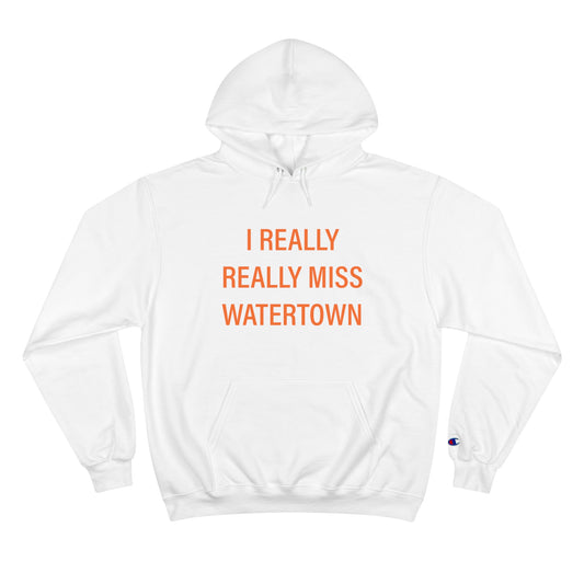 I really really miss watertown // watertown connecticut unisex hoodie sweatshirt // finding connecticut 