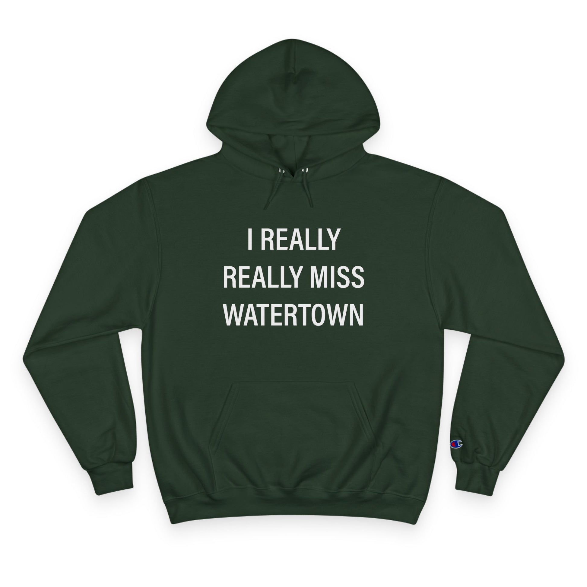 I really really miss watertown // watertown ct unisex champion hoodie sweatshirt // finding connecticut 