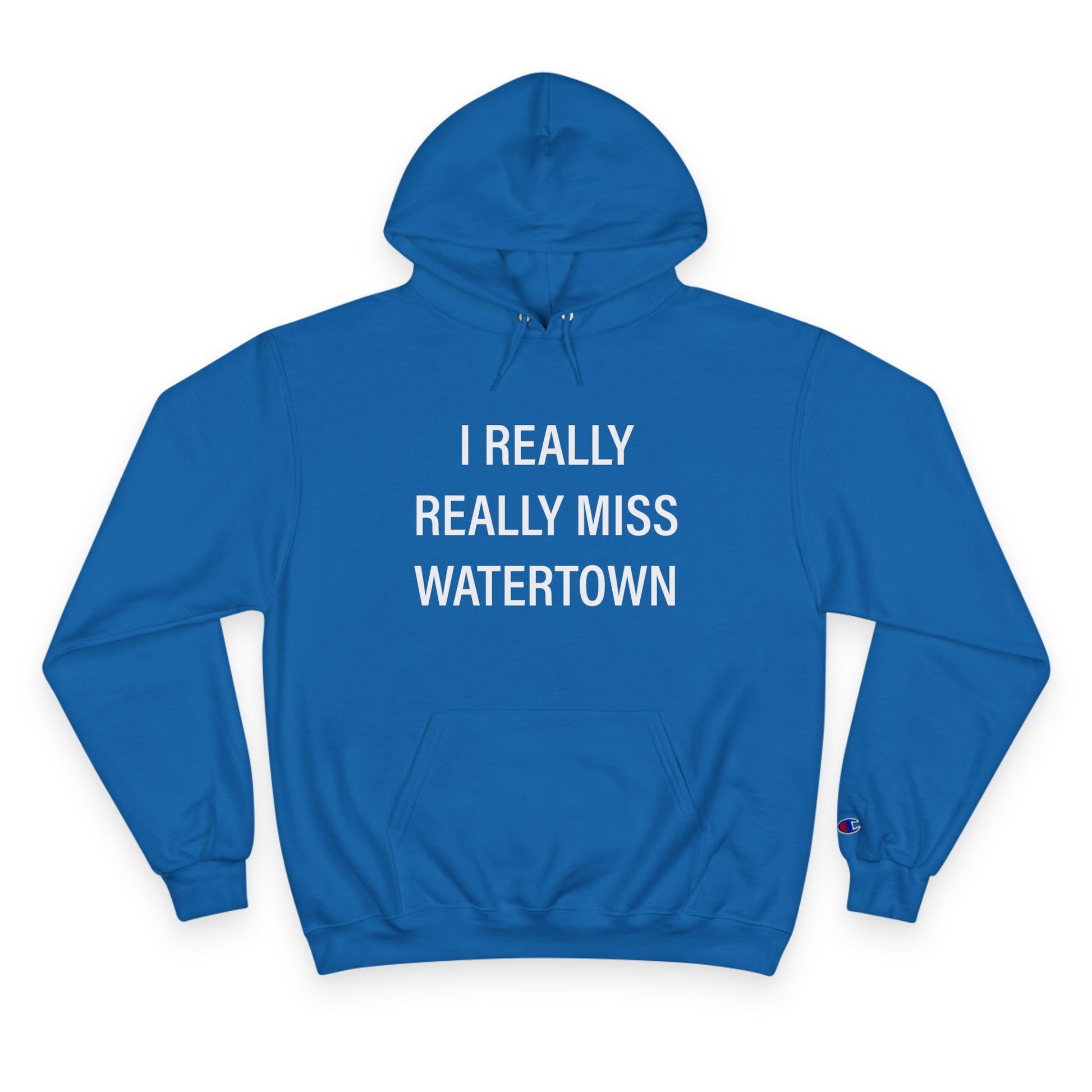 I really really miss watertown // watertown ct unisex champion hoodie sweatshirt // finding connecticut 