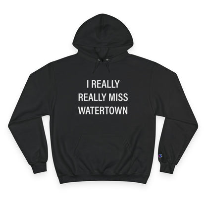 I really really miss watertown // watertown ct unisex champion hoodie sweatshirt // finding connecticut 