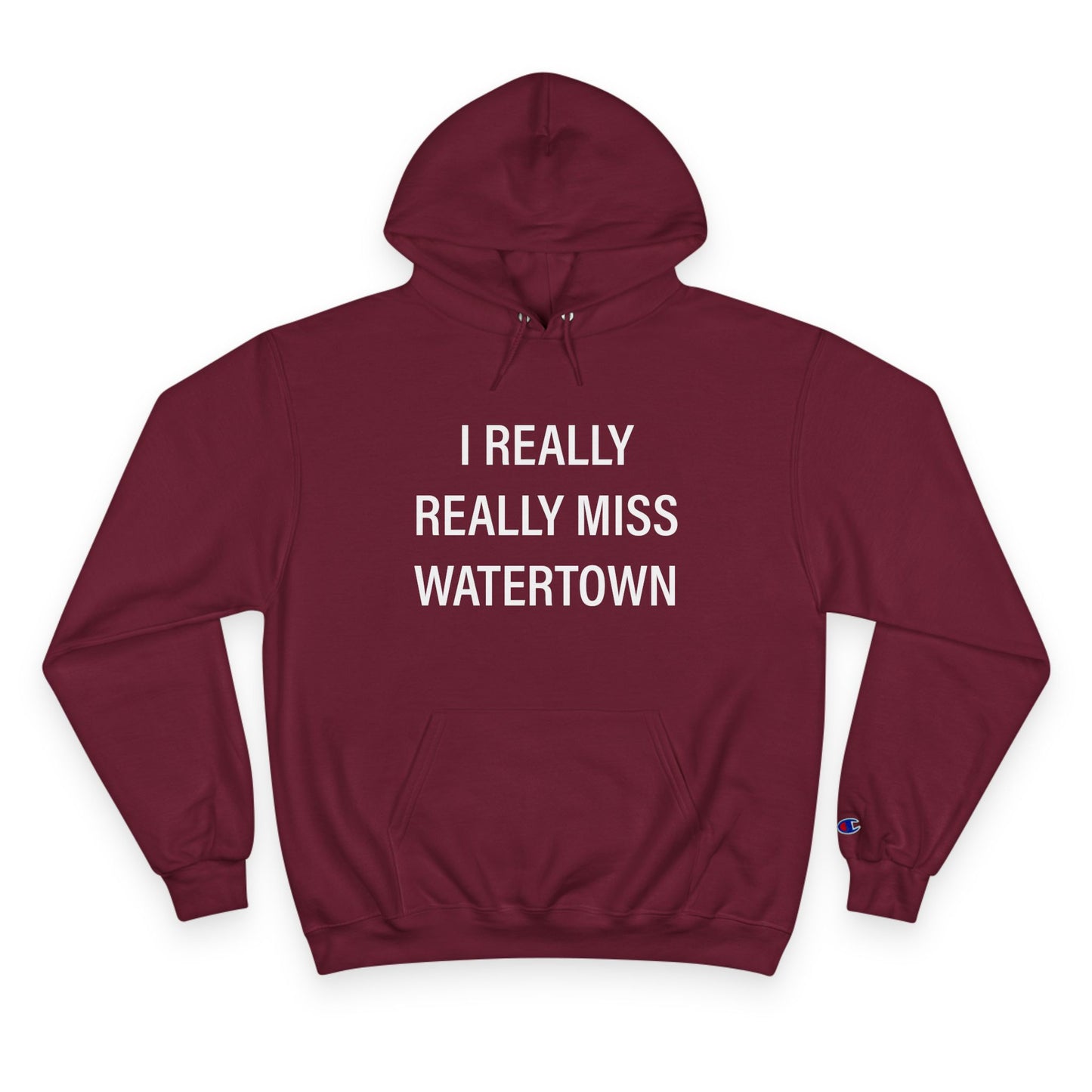 I really really miss watertown // watertown ct unisex champion hoodie sweatshirt // finding connecticut 