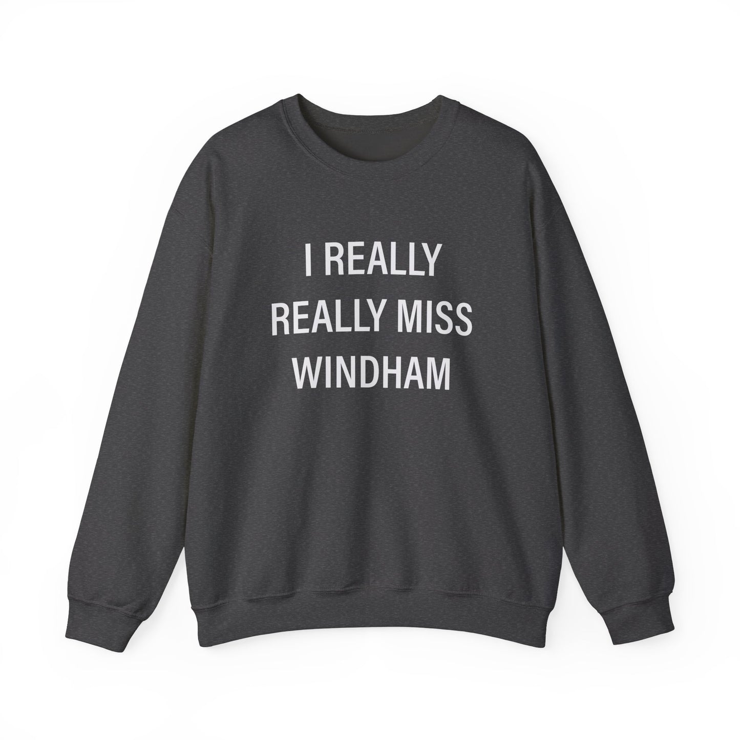 I really really miss windham // windham CT unisex champion hoodies sweatshirts // finding connecticut 