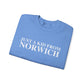Just a kid from Norwich // Norwich CT unisex sweatshirt // finding connecticut 