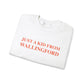 Just a kid from Wallingford // Wallingford Connecticut unisex  sweatshirts  // finding connecticut 