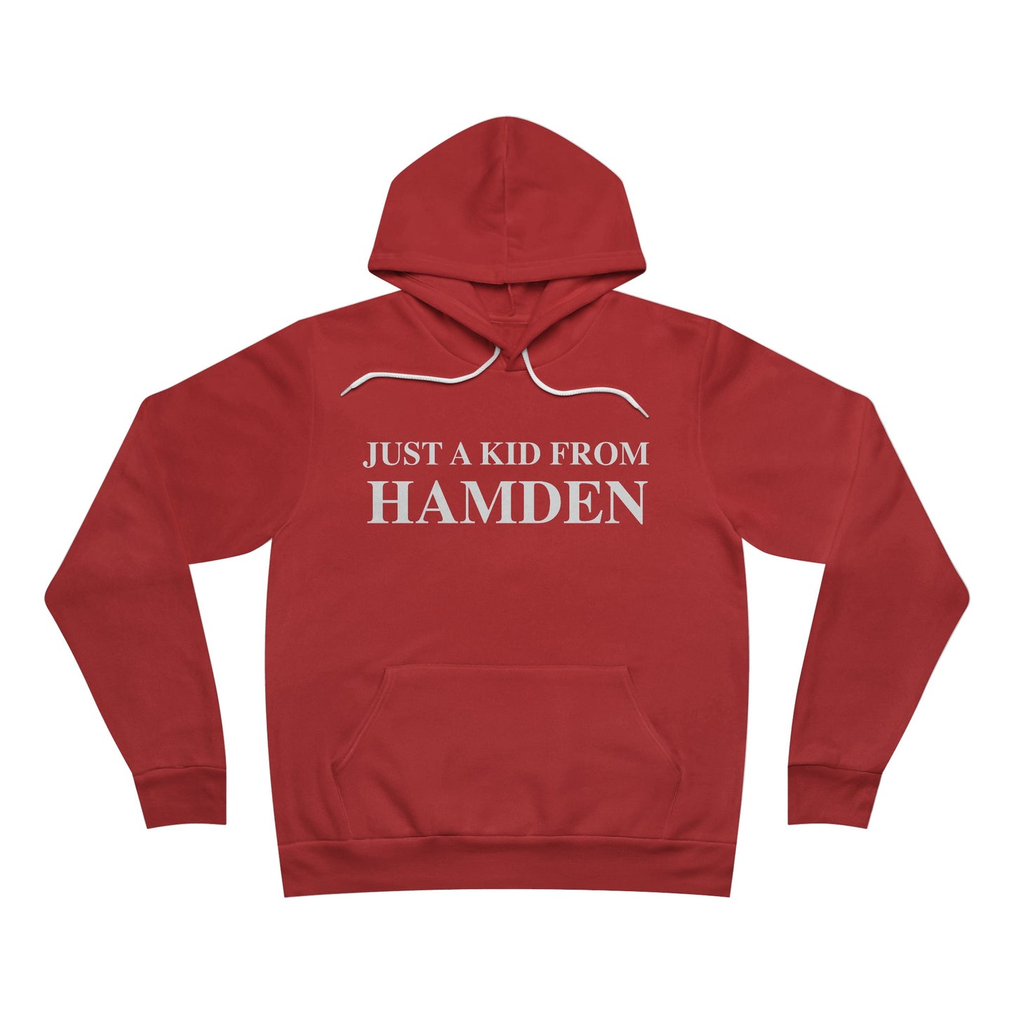 Just a kid from hamden  // hamden CT unisex hoodie sweatshirt / finding connecticut  