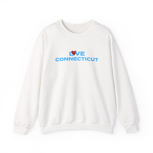 Love Connecticut unisex hoodie sweatshirt   // connecticut gifts and merch // finding connecticut 