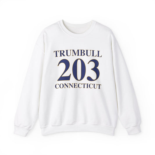 Trumbull 203 Connecticut // Trumbull Connecticut unisex sweatshirt  // finding connecticut 