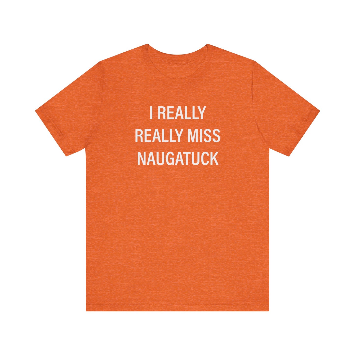 i really really miss naugatuck // naugatuck ct unisex t shirts  // finding connecticut  