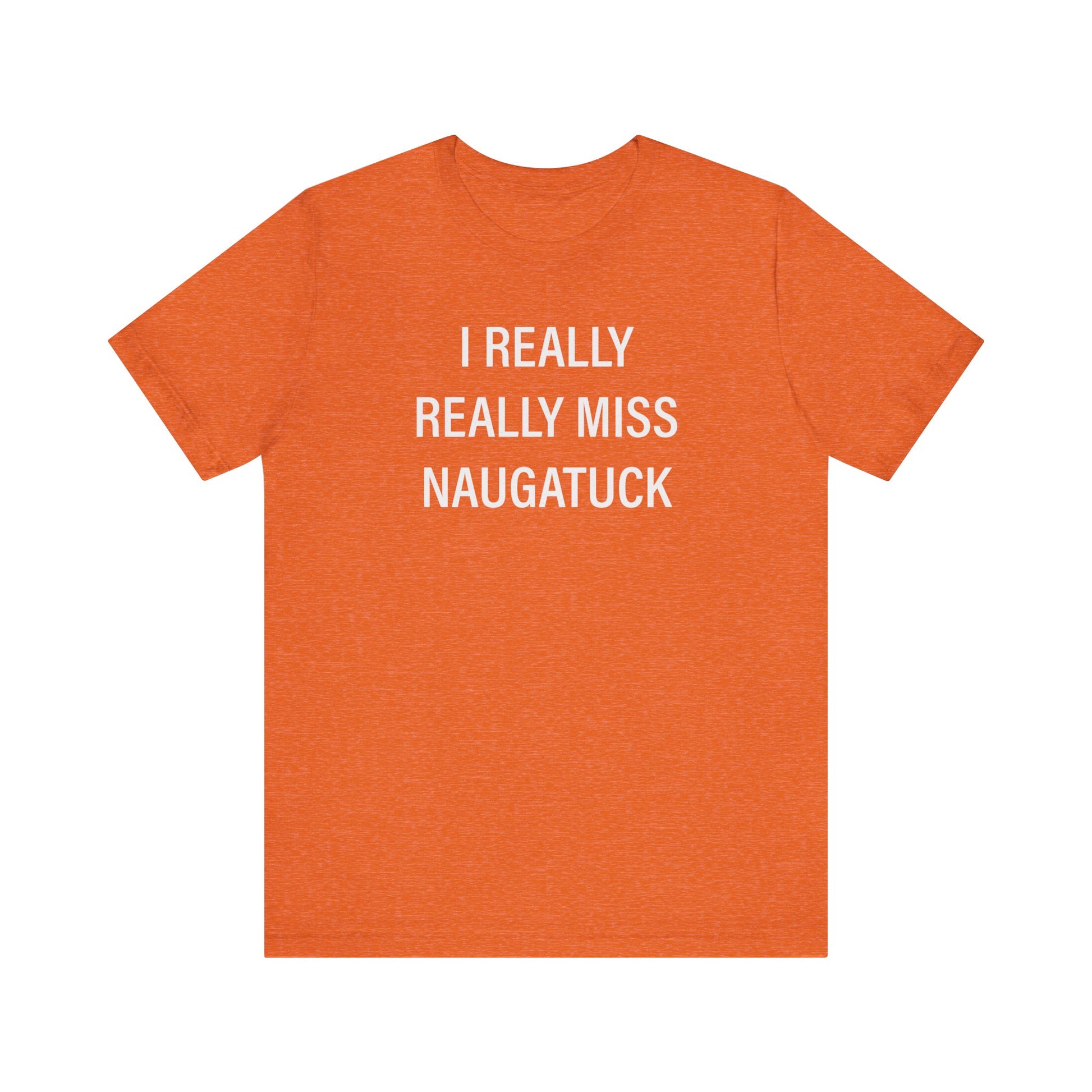 i really really miss naugatuck // naugatuck ct unisex t shirts  // finding connecticut  