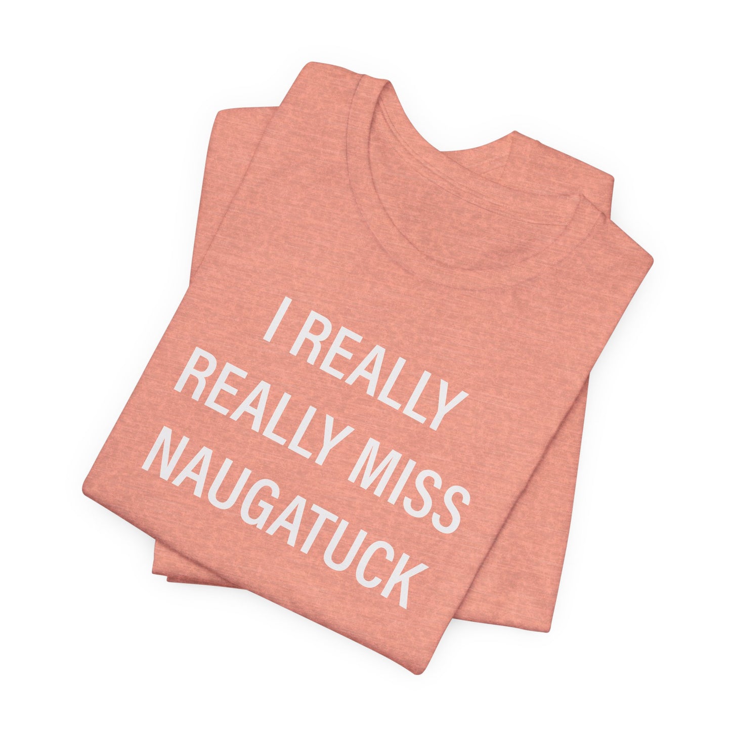 i really really miss naugatuck // naugatuck ct unisex t shirts  // finding connecticut  