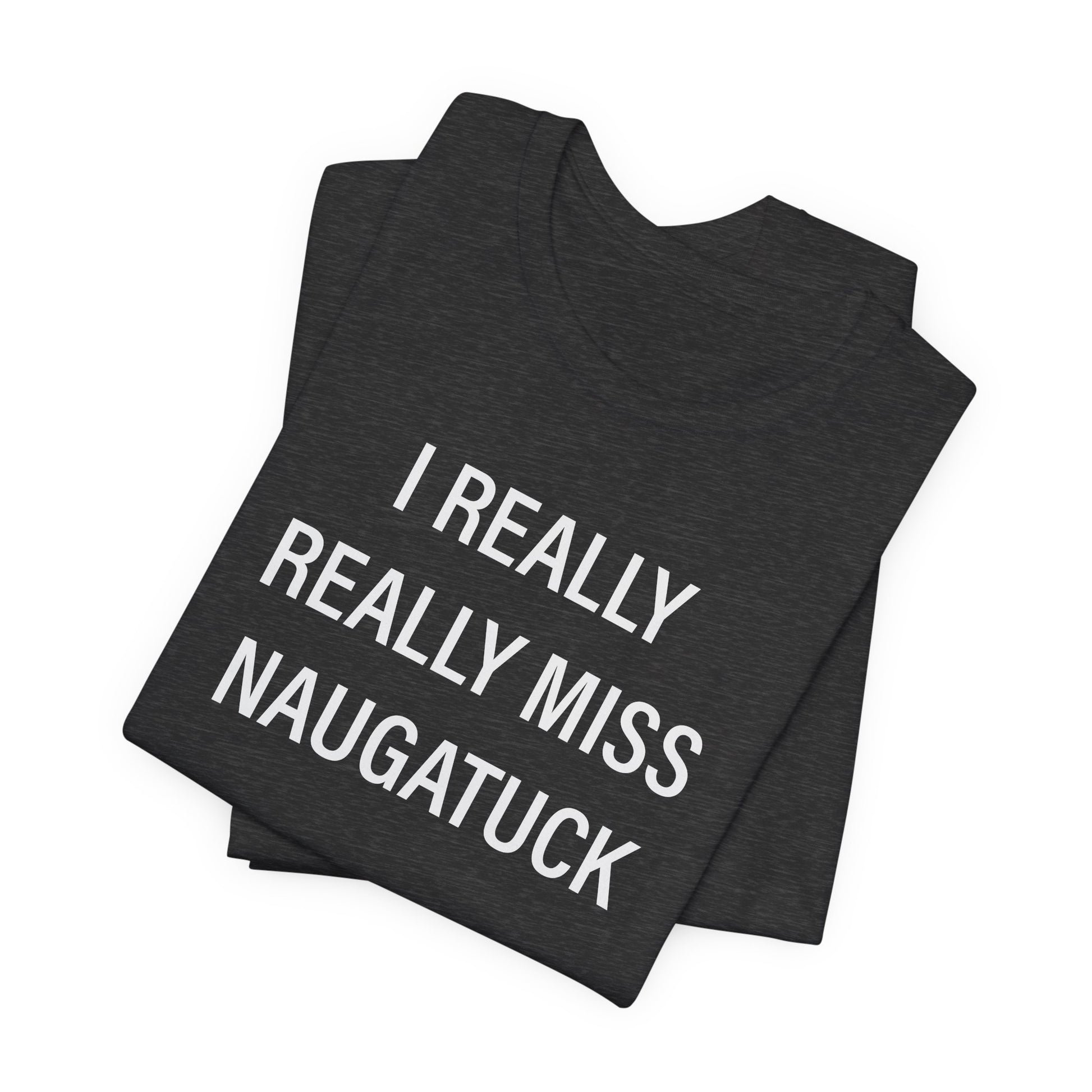 i really really miss naugatuck // naugatuck ct unisex t shirts  // finding connecticut  