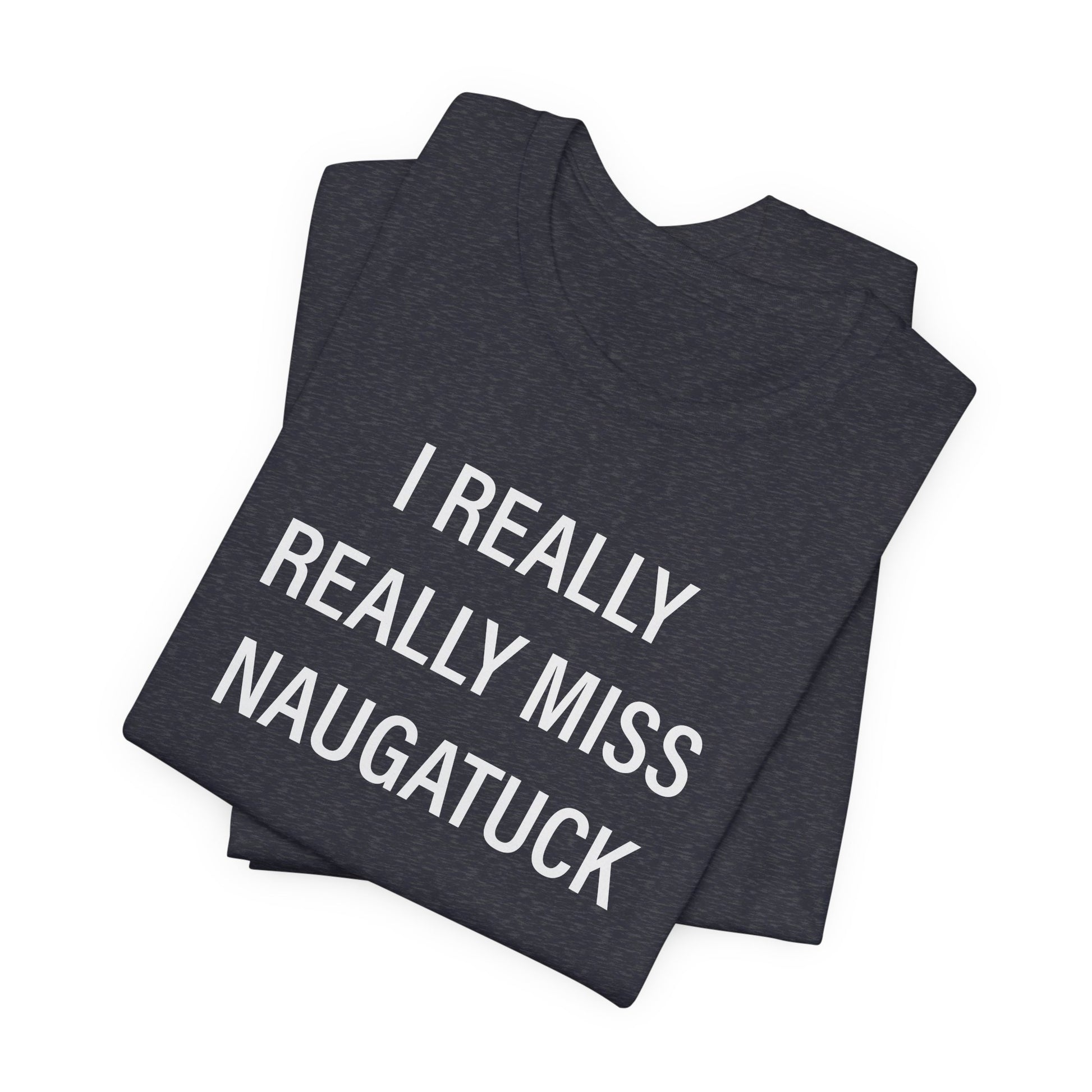 i really really miss naugatuck // naugatuck ct unisex t shirts  // finding connecticut  