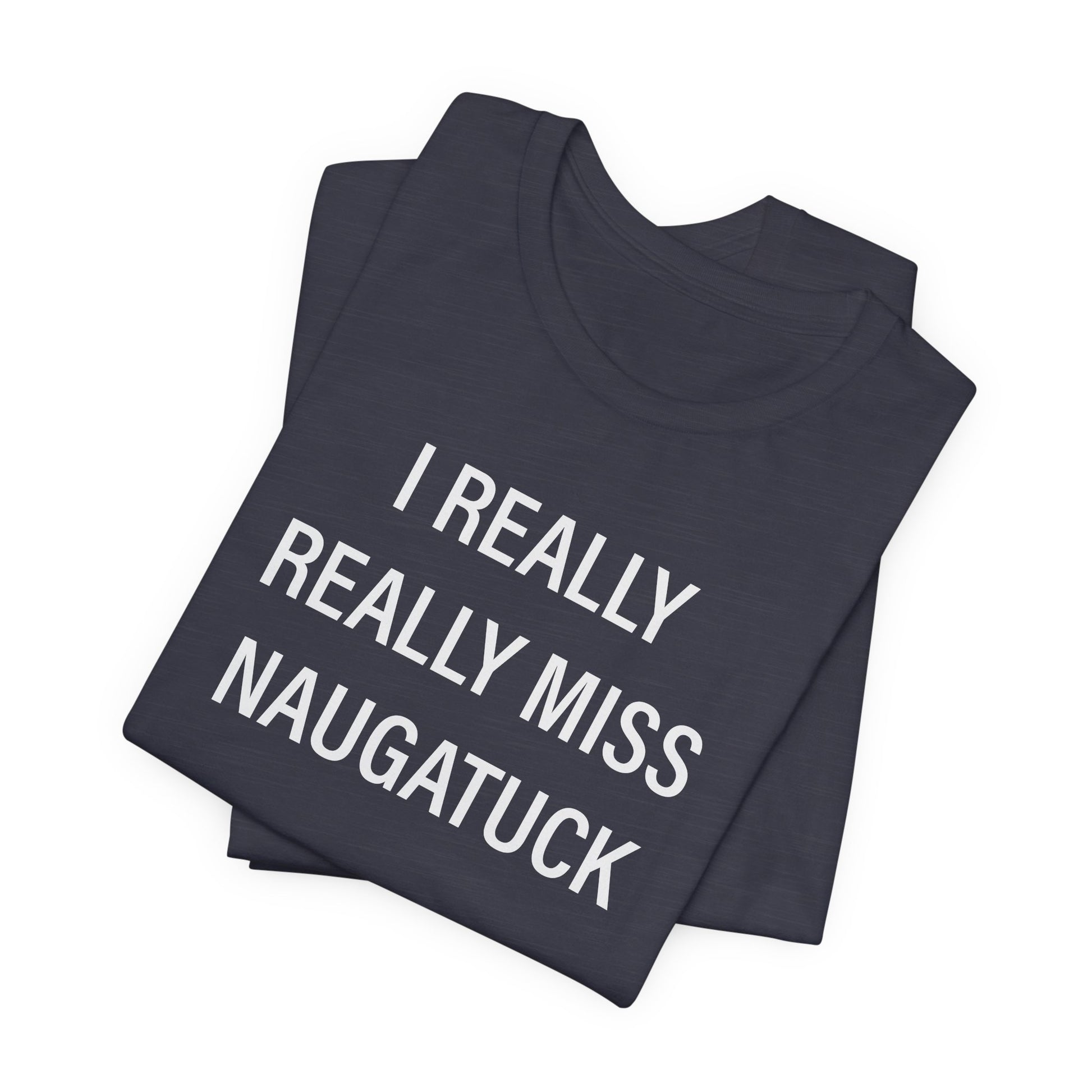 i really really miss naugatuck // naugatuck ct unisex t shirts  // finding connecticut  